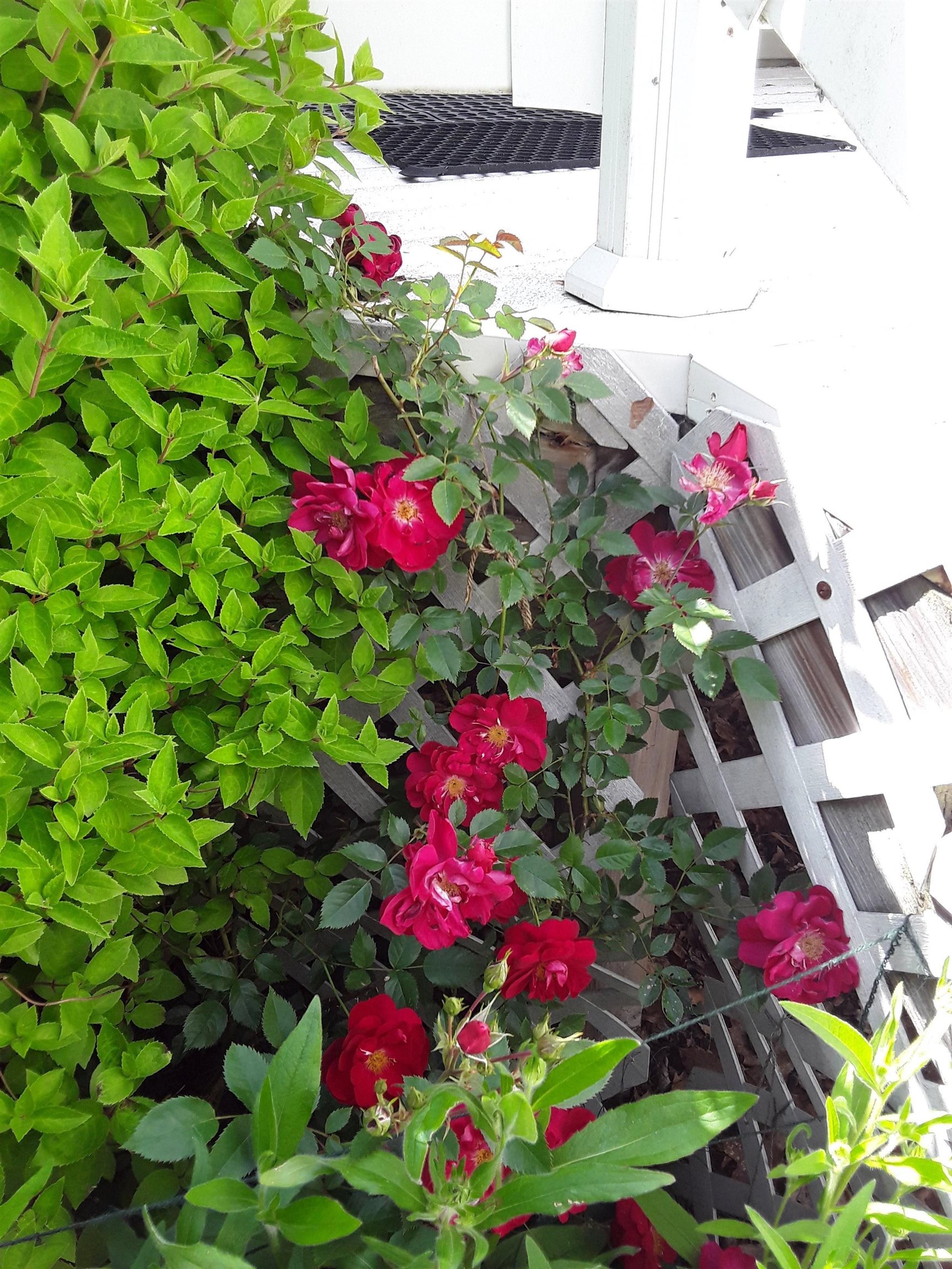 7102 Fire Tower Road Rhinelander, WI 54501 - Photo 48 of 48