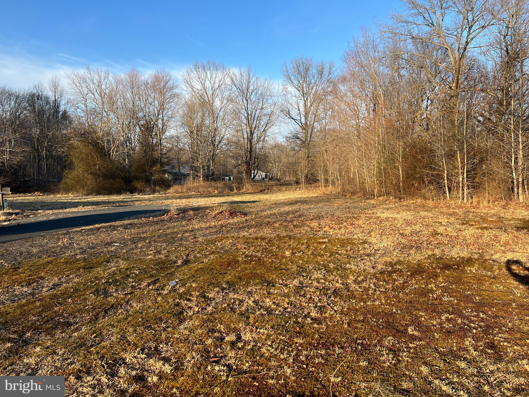 910 Forrester Road Churchton, MD 20733 - Photo 23 of 28 Gallery Image 23