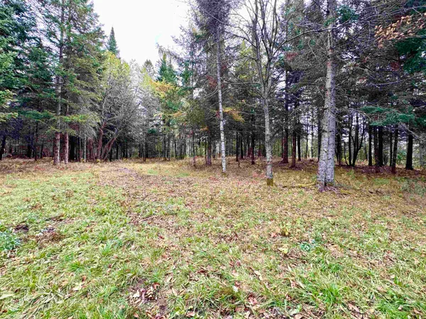 $59,900 | Tbd Hollow Road, Stewartstown, NH 03576
