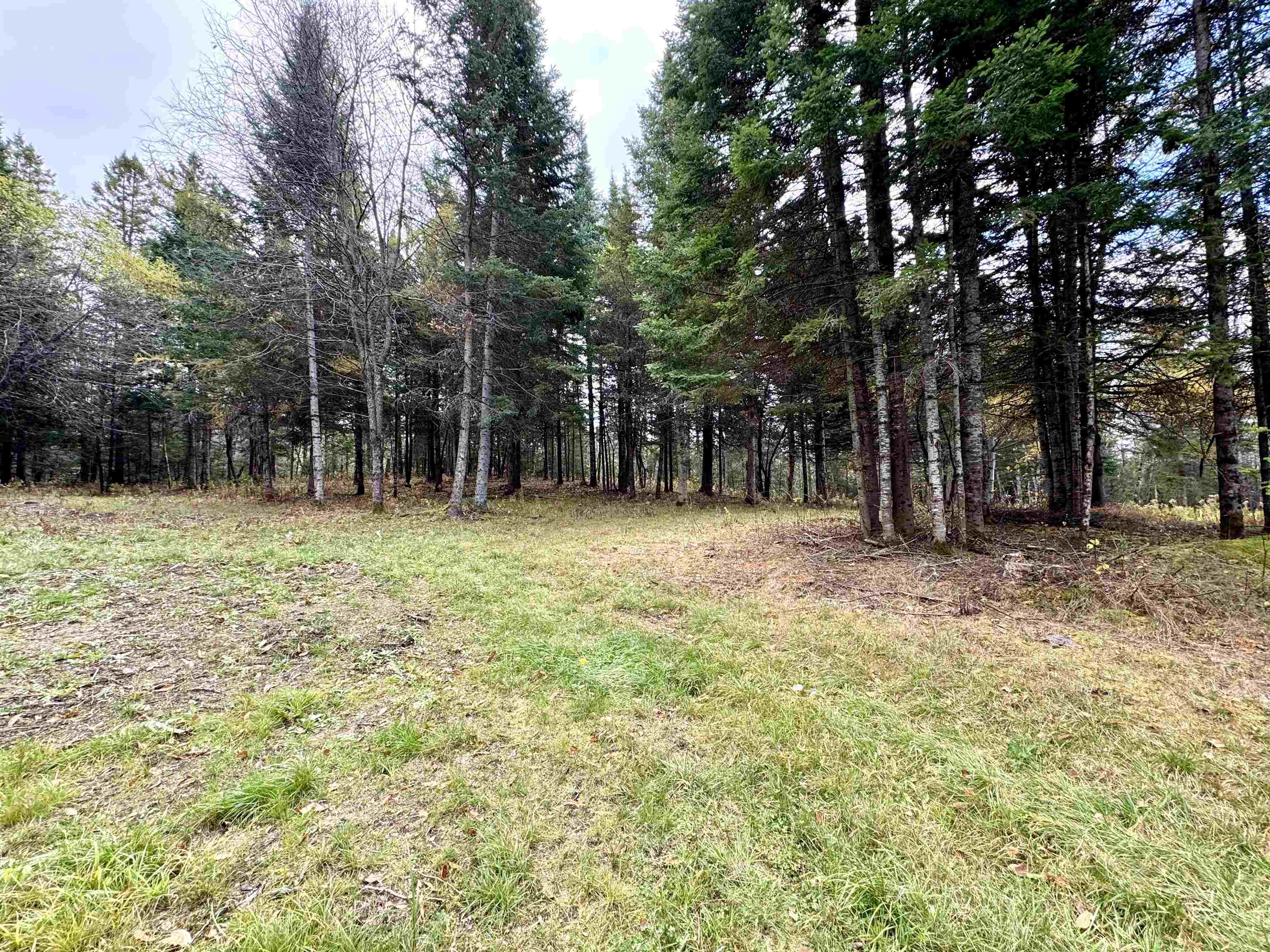 Tbd Hollow Road Stewartstown, NH 03576 - Photo 12 of 22