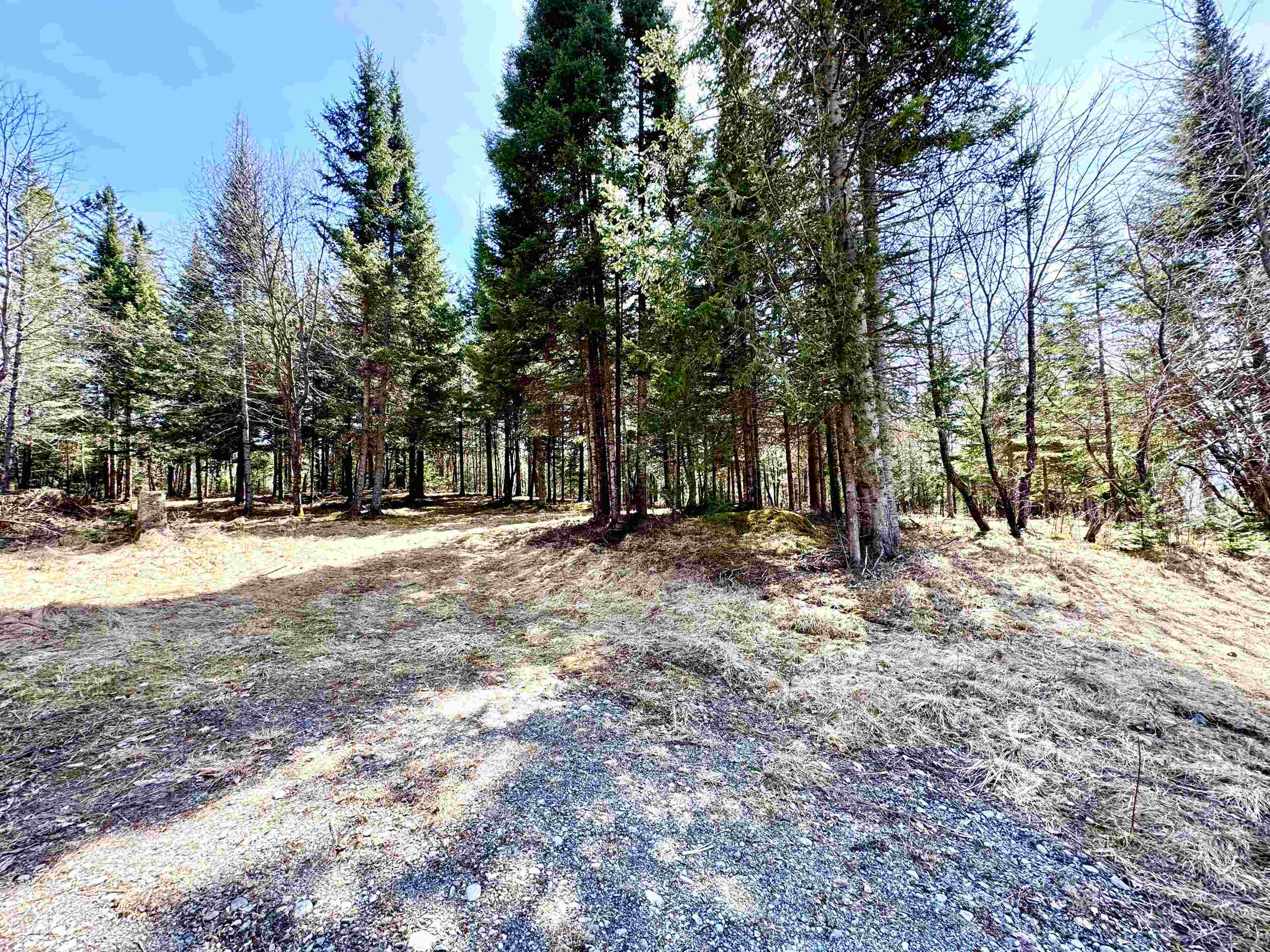 Tbd Hollow Road Stewartstown, NH 03576 - Photo 19 of 22