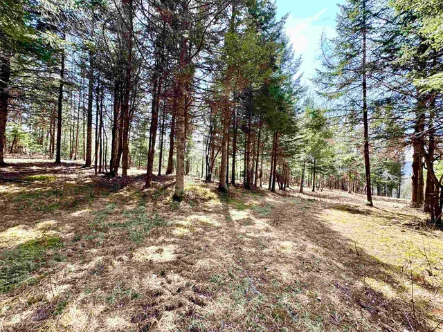 $59,900 | Tbd Hollow Road, Stewartstown, NH 03576