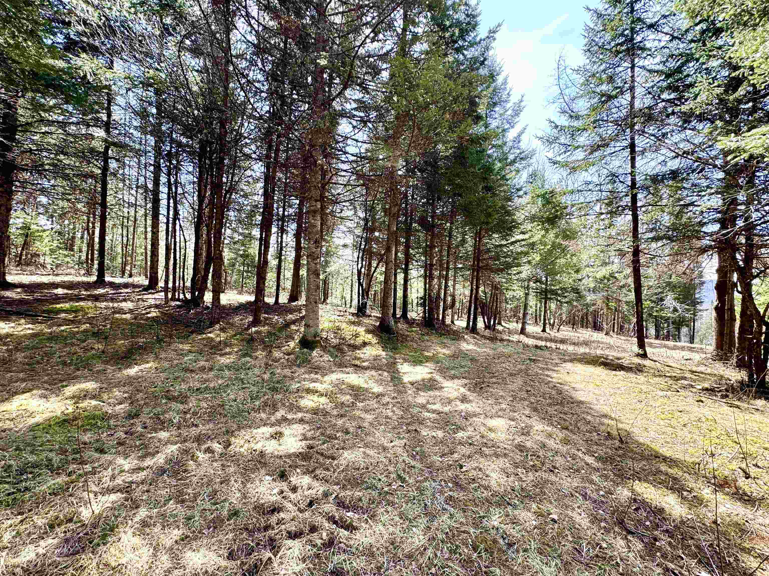 Tbd Hollow Road Stewartstown, NH 03576 - Photo 21 of 22