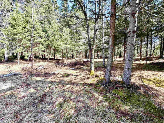 $59,900 | Tbd Hollow Road, Stewartstown, NH 03576