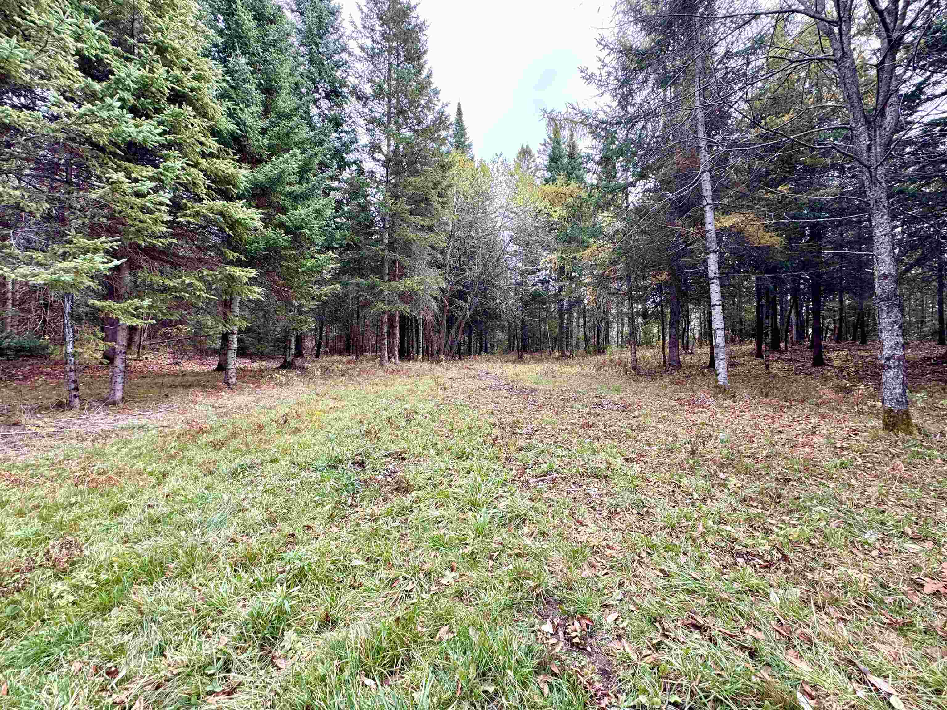 Tbd Hollow Road Stewartstown, NH 03576 - Photo 4 of 22