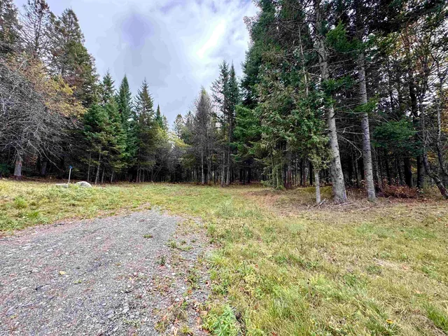 $59,900 | Tbd Hollow Road, Stewartstown, NH 03576
