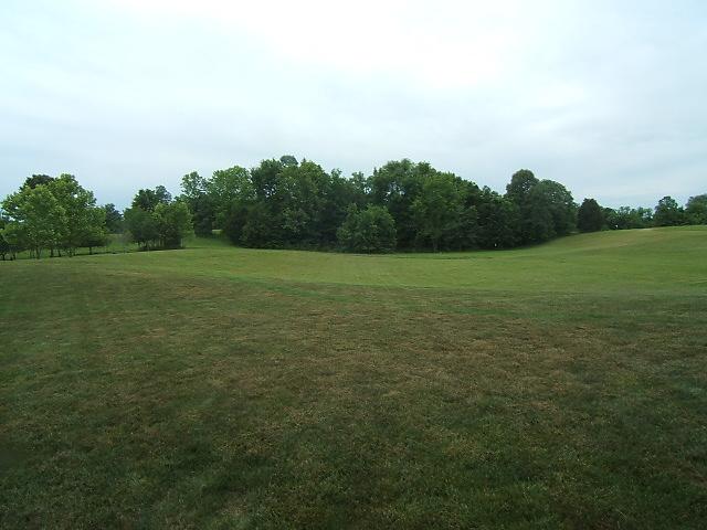 2982 Surrey Ridge Road Clarksville, TN 37043 - Photo 12 of 12 View to Rear