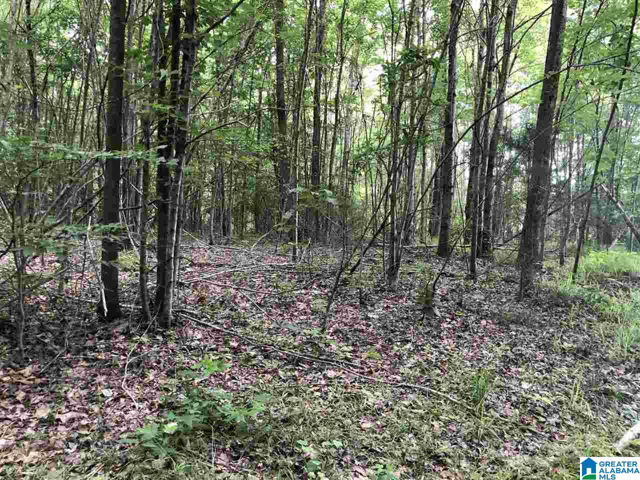 0 Maple Crest Lane Hayden, AL 35079 - Photo 21 of 30