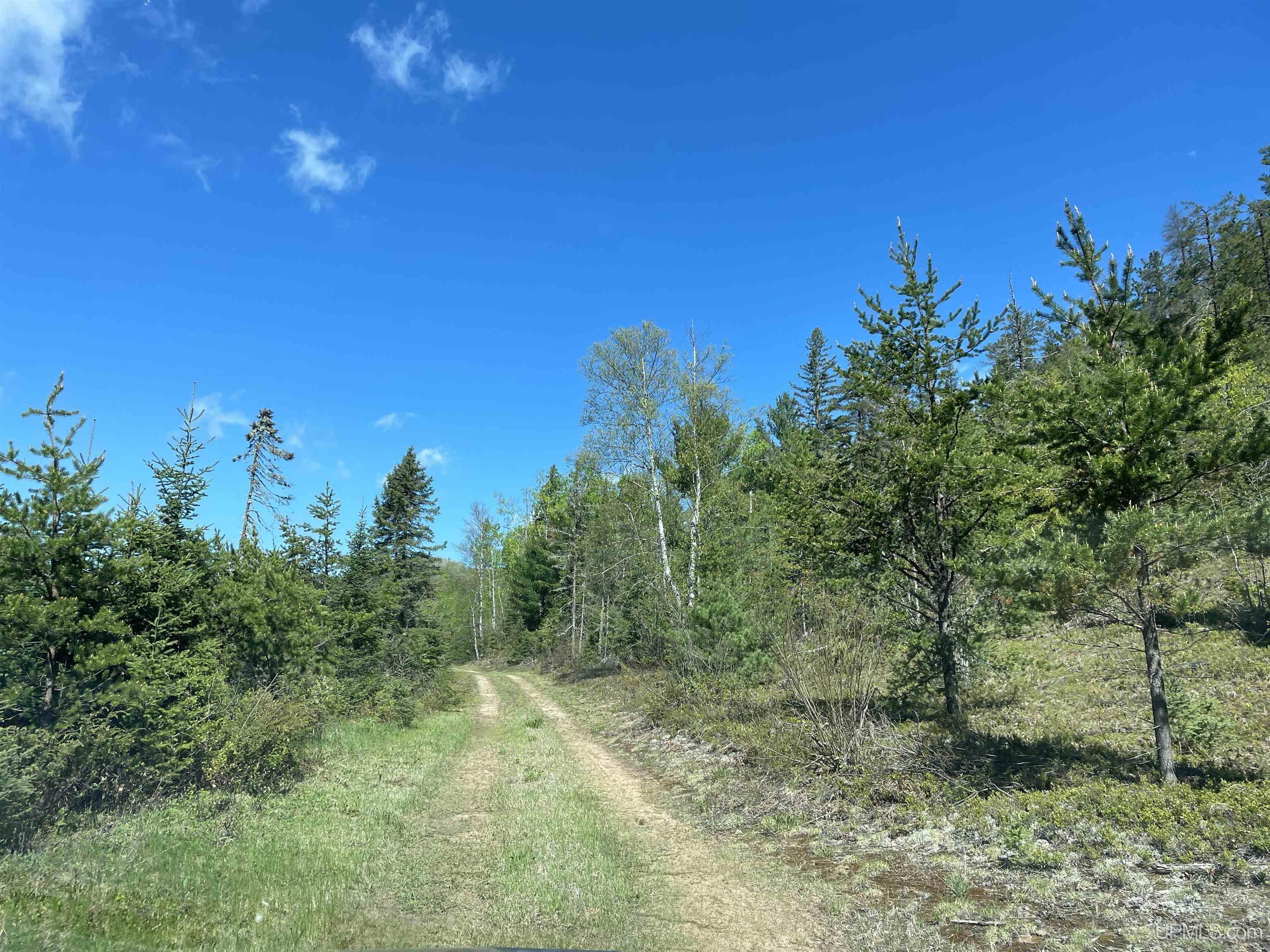 2546 Co Road Ishpeming, MI 49849 - Photo 8 of 53