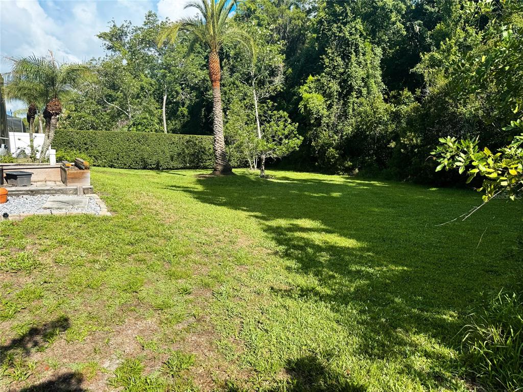 16207 Rambling Road Odessa, FL 33556 - Photo 24 of 26