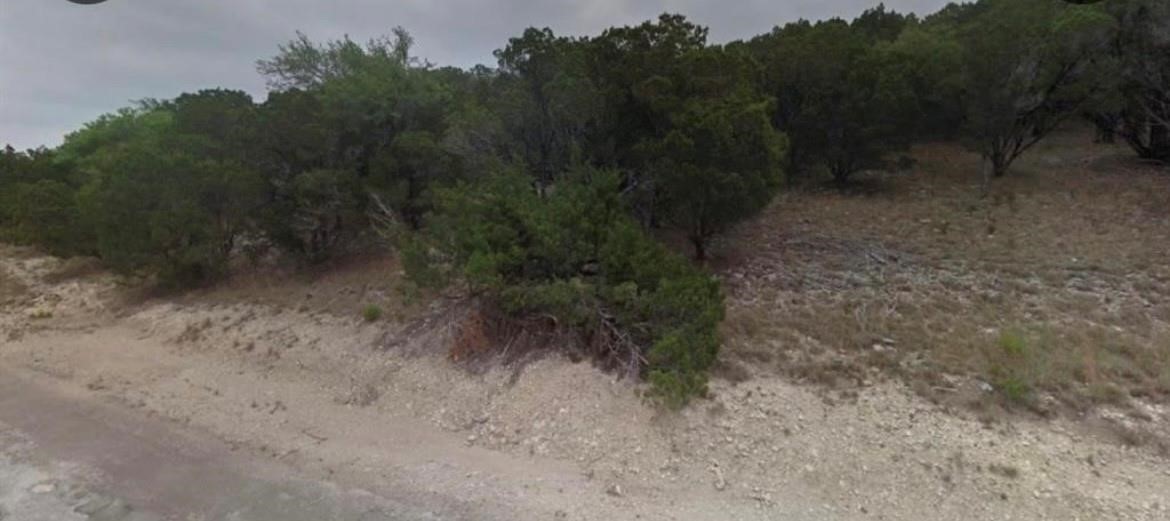 a view of a dry yard with trees
