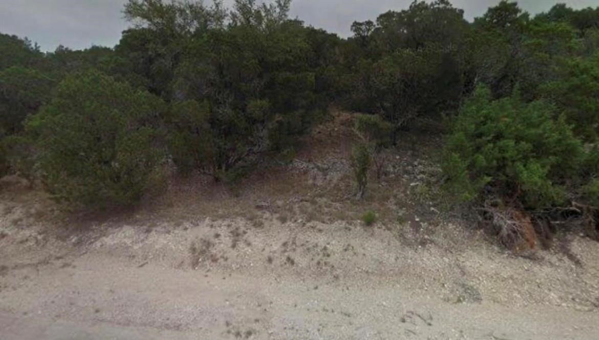 6205 Cimmaron Trail Leander, TX 78645 - Photo 2 of 5 a view of a forest with trees in the background