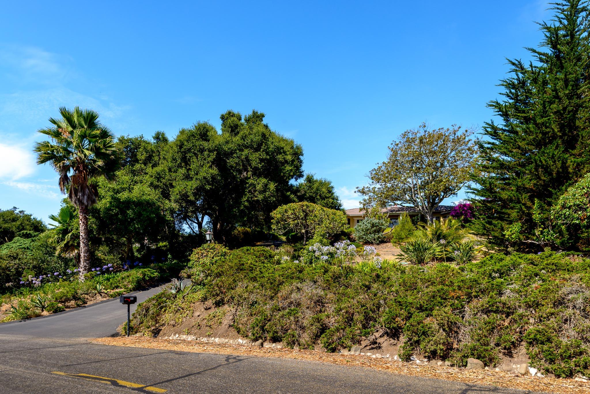 895 Via Hierba Santa Barbara, CA 93110 - Photo 21 of 24 a view of a garden with plants