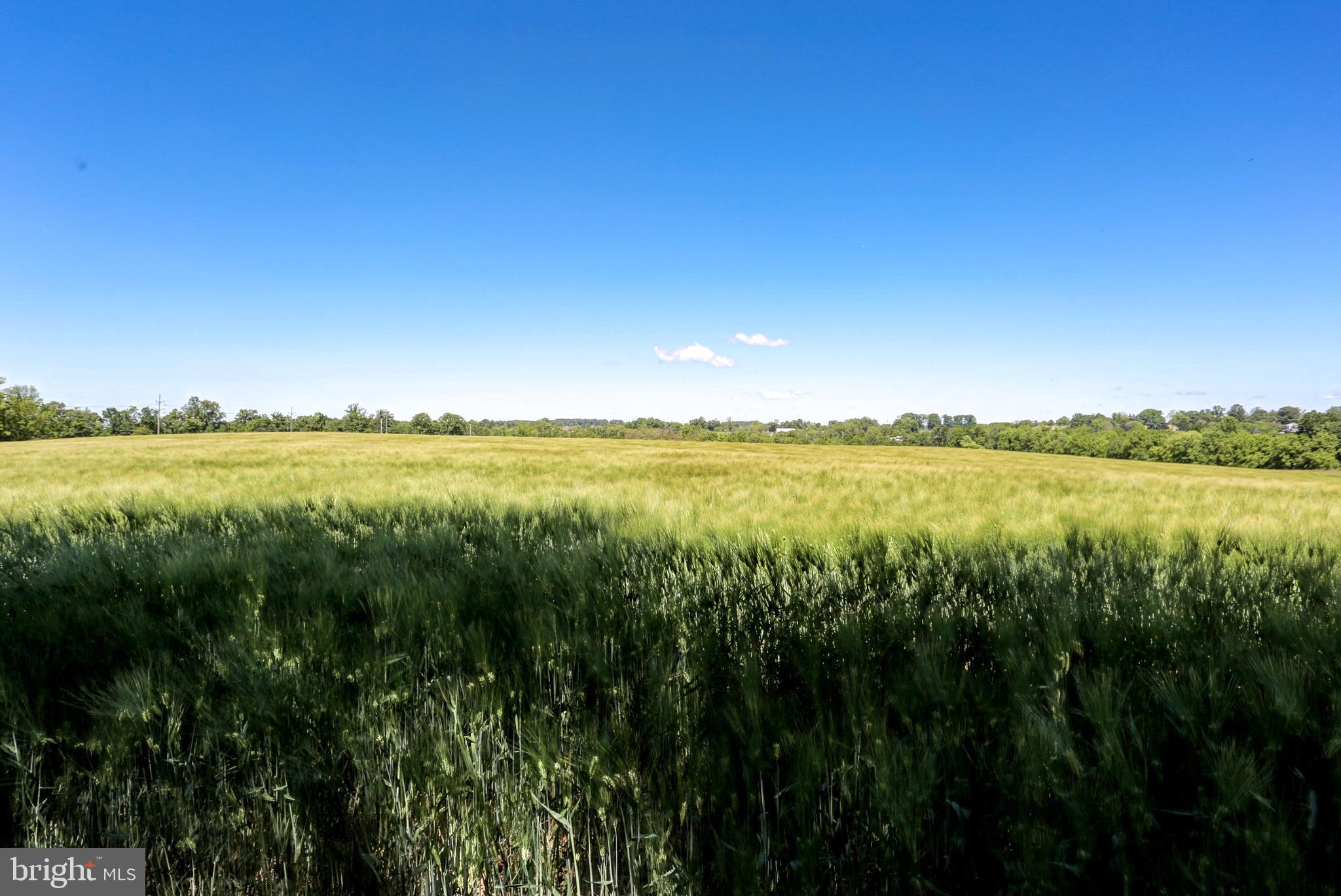 50 Foreman Road Elizabethtown, PA 17022 - Photo 33 of 36 neighboring fields