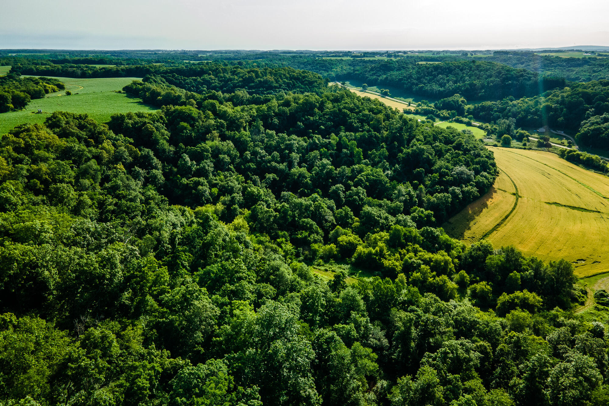 Lt0 Smyth Hollow Road Hillpoint, WI 53937 - Photo 15 of 45 Richland-County-WI-61-Acres-Land-For-Sal