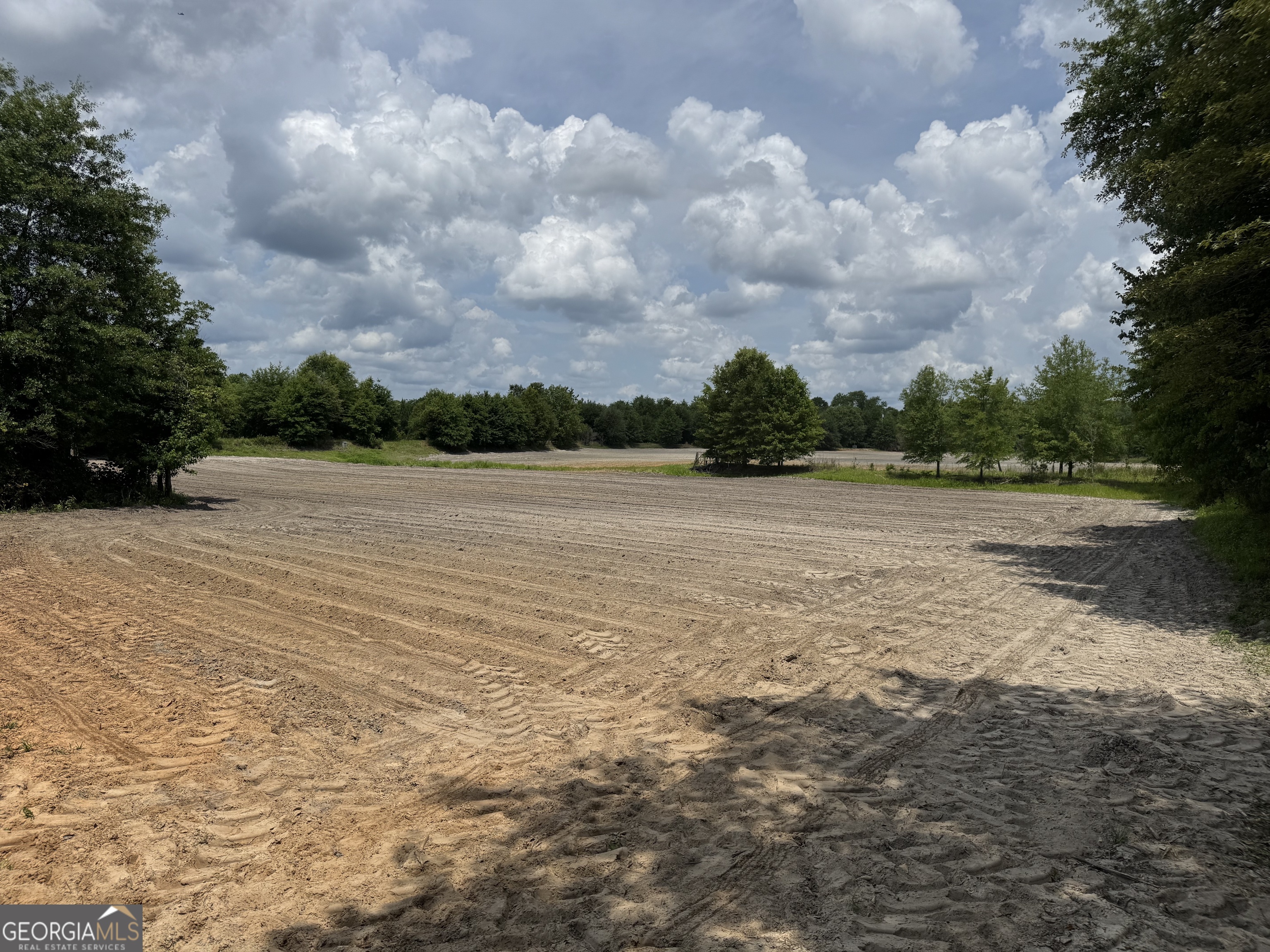 0 Rocky Mt Church Road Eufaula, AL 36027 - Photo 11 of 35