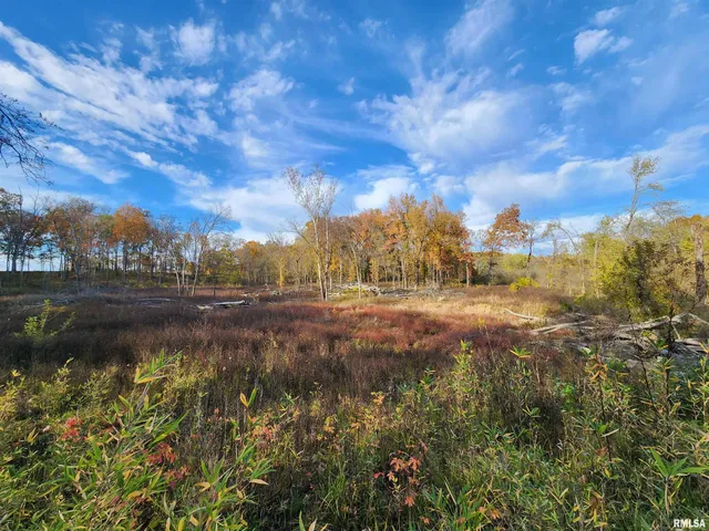 $779,000 | 253 Ween Road, De Soto, IL 62924