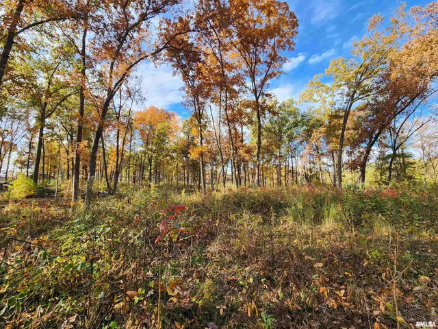 $779,000 | 253 Ween Road, De Soto, IL 62924