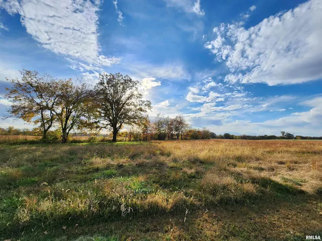 $779,000 | 253 Ween Road, De Soto, IL 62924