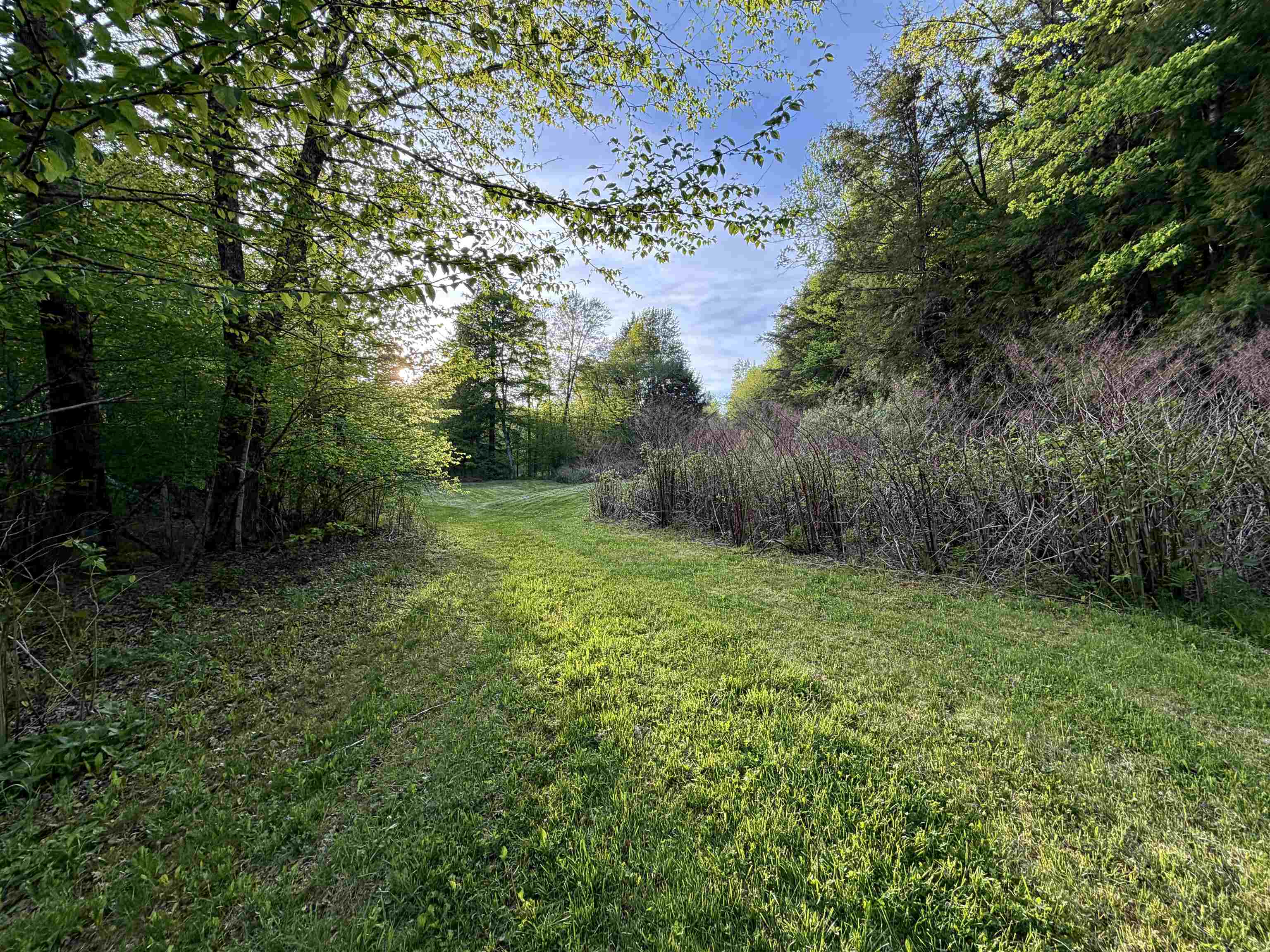 250 Fenton Road Chester, VT 05143 - Photo 3 of 29