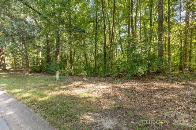 a view of a yard with a tree