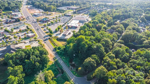 a picture of flowers