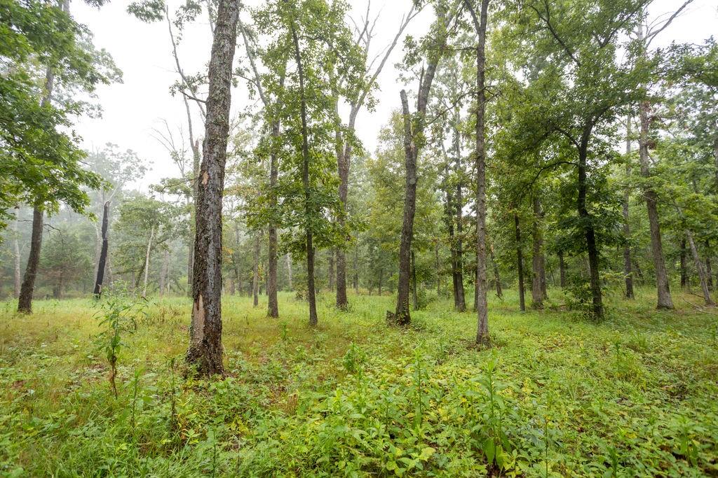 6030 Southeast 740 Pvt Road Collins, MO 64738 - Photo 55 of 64 Gallery Image 55