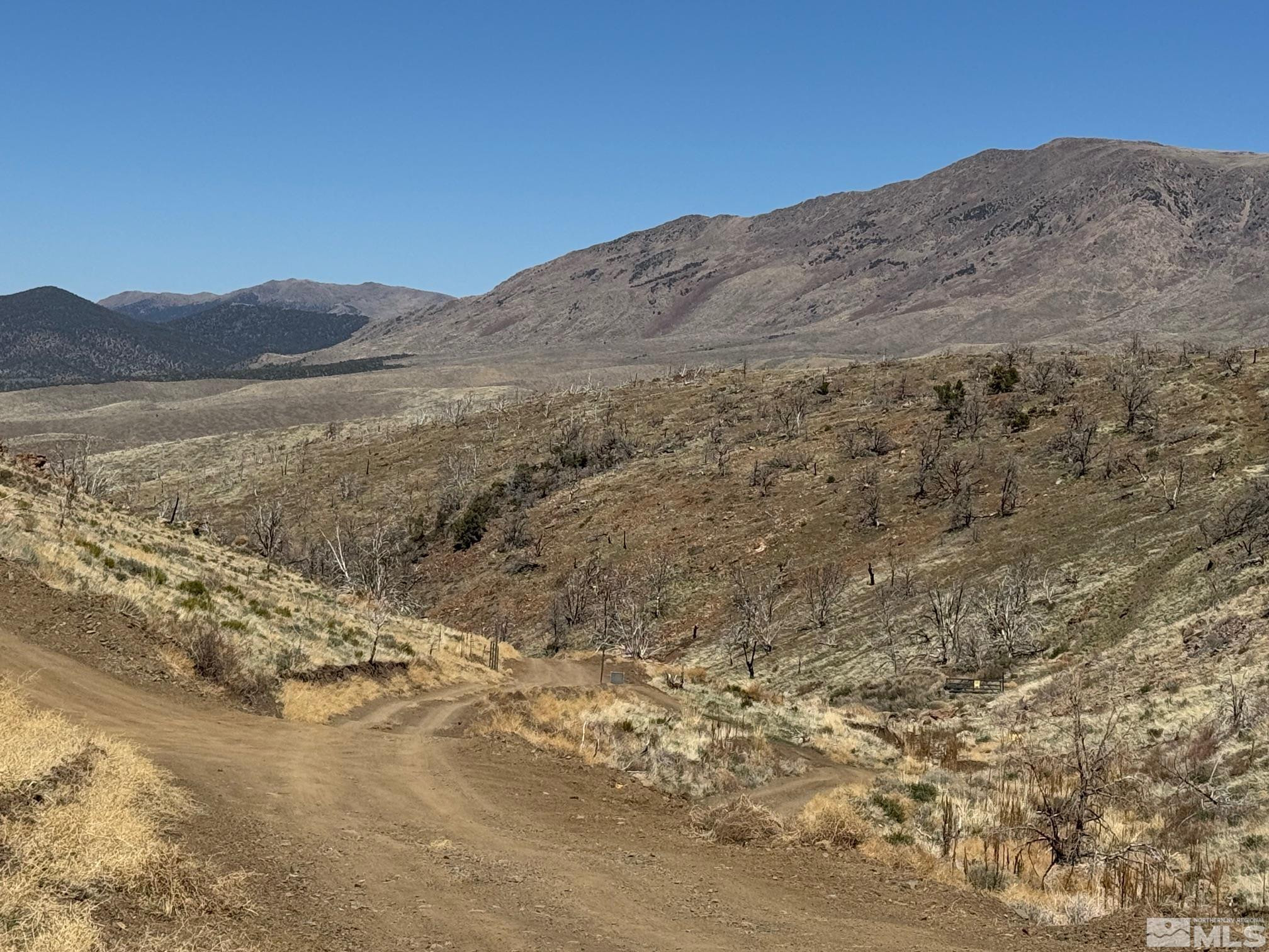 Tbd Tbd Parcels At Pine Gardnerville, NV 89410 - Photo 11 of 37 a view of mountain