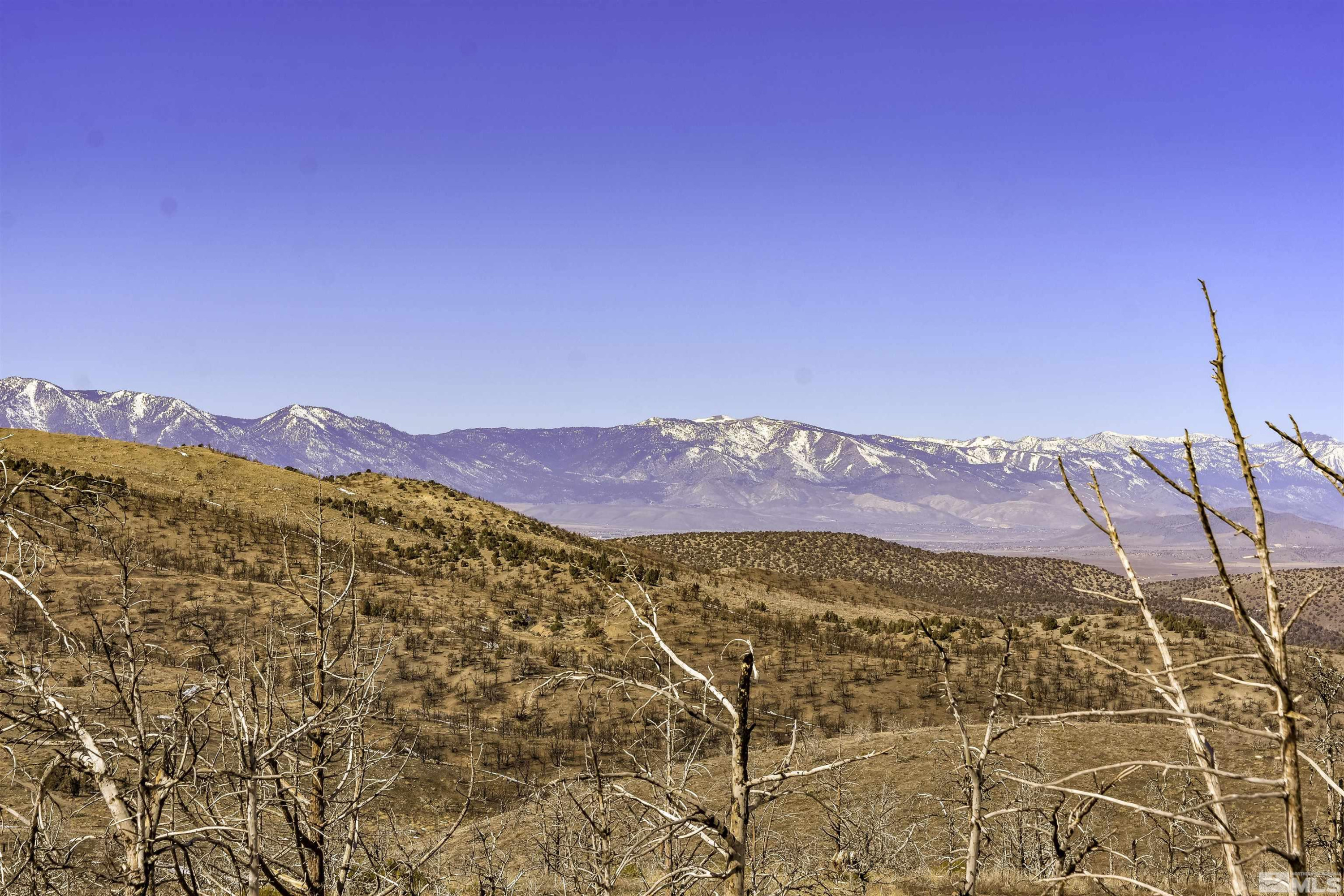 Tbd Tbd Parcels At Pine Gardnerville, NV 89410 - Photo 12 of 37 a view of a house with a mountain
