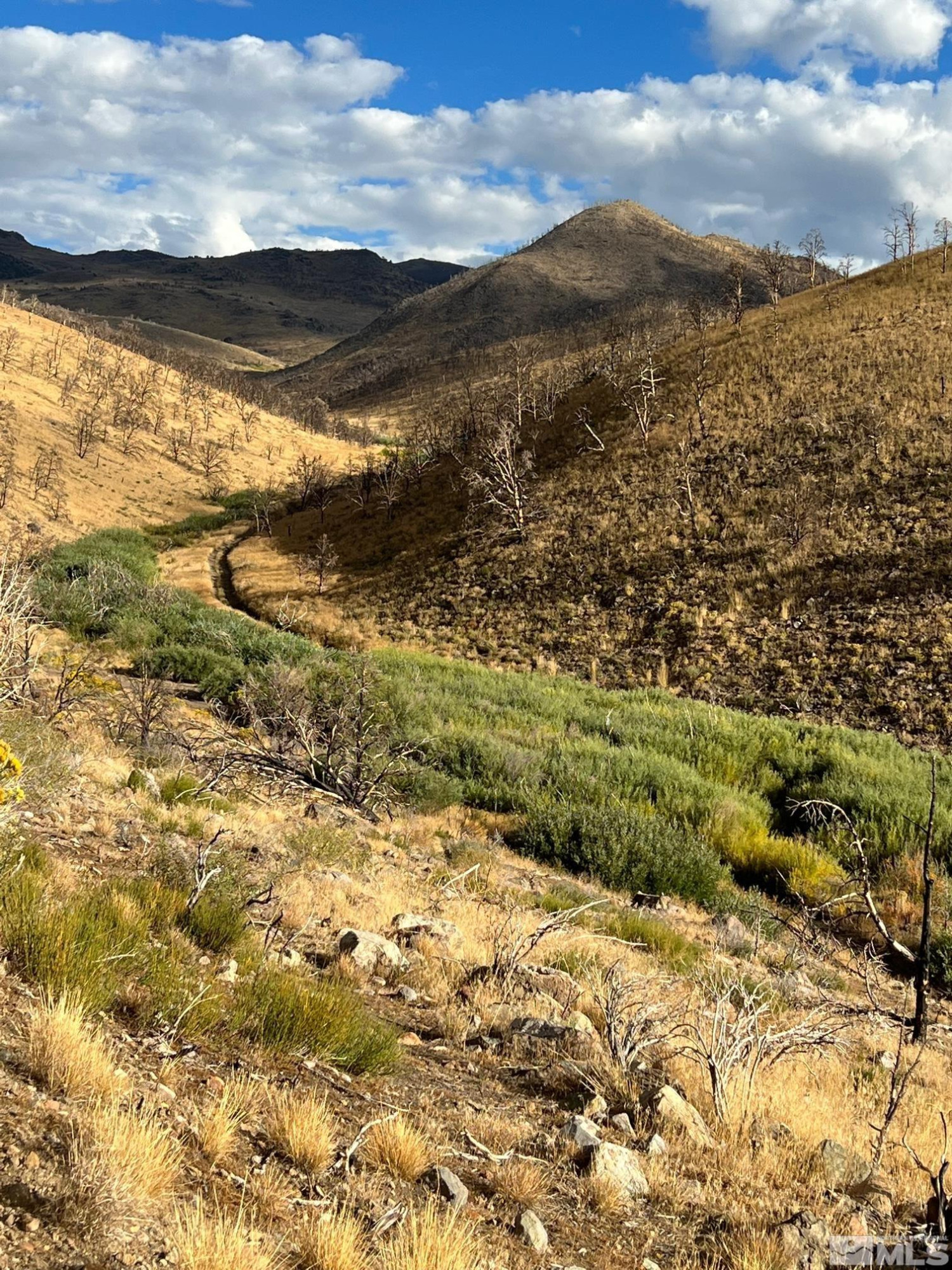 Tbd Tbd Parcels At Pine Gardnerville, NV 89410 - Photo 13 of 37 a view of ocean