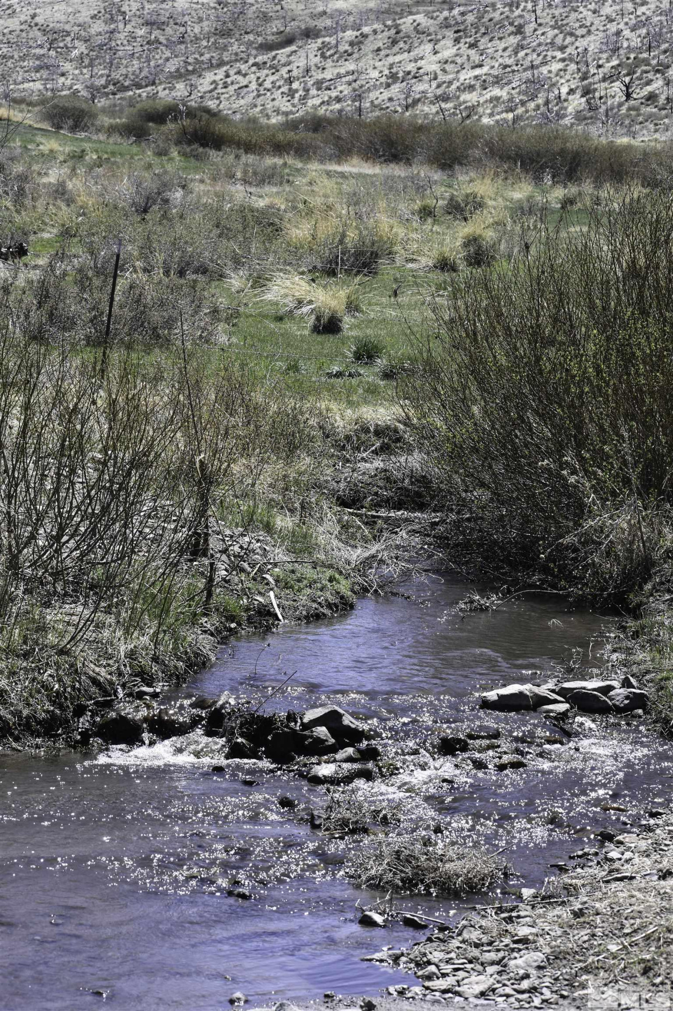 Tbd Tbd Parcels At Pine Gardnerville, NV 89410 - Photo 14 of 37 a view of a dry yard with wooden floor