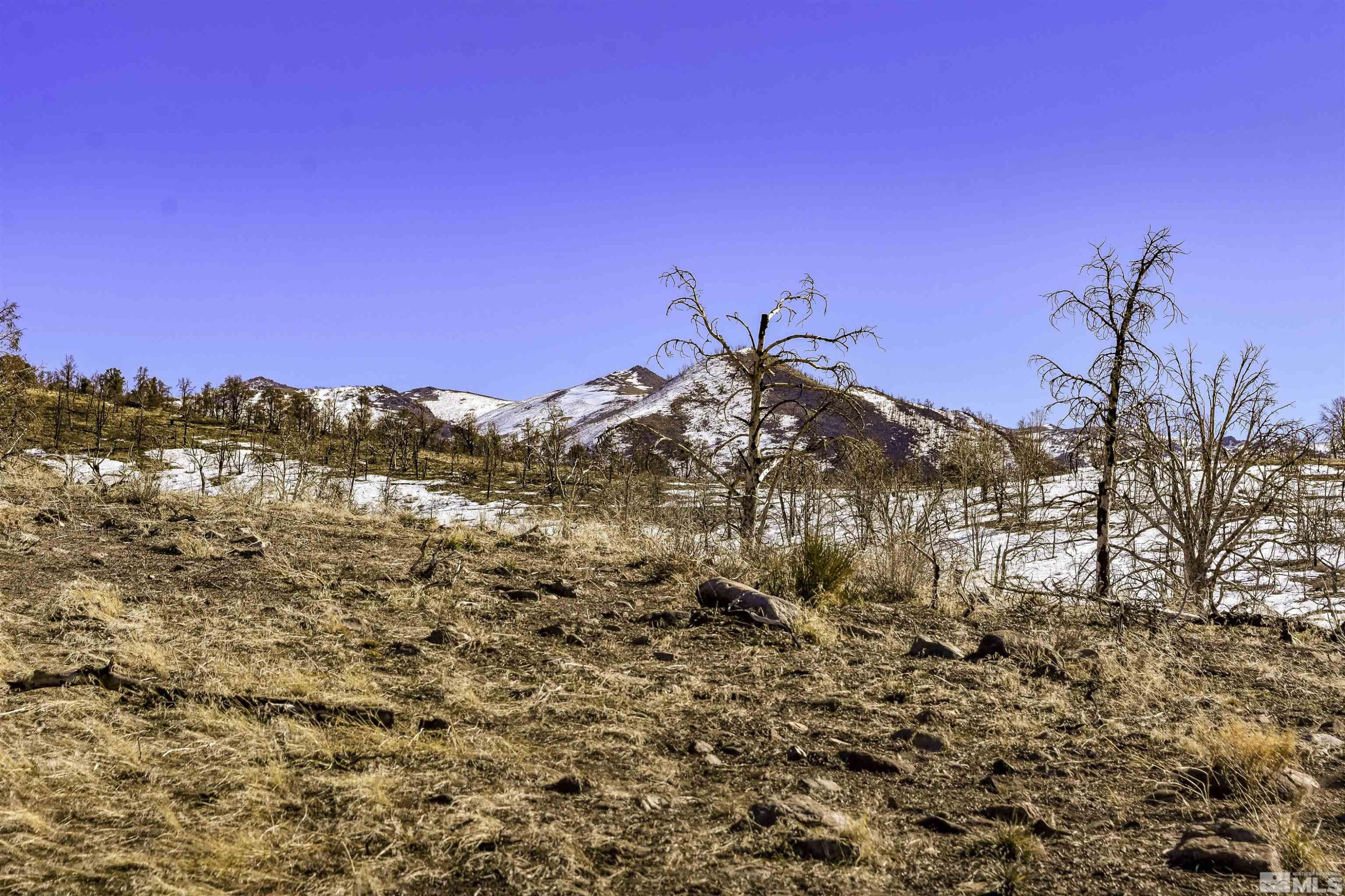 Tbd Tbd Parcels At Pine Gardnerville, NV 89410 - Photo 15 of 37