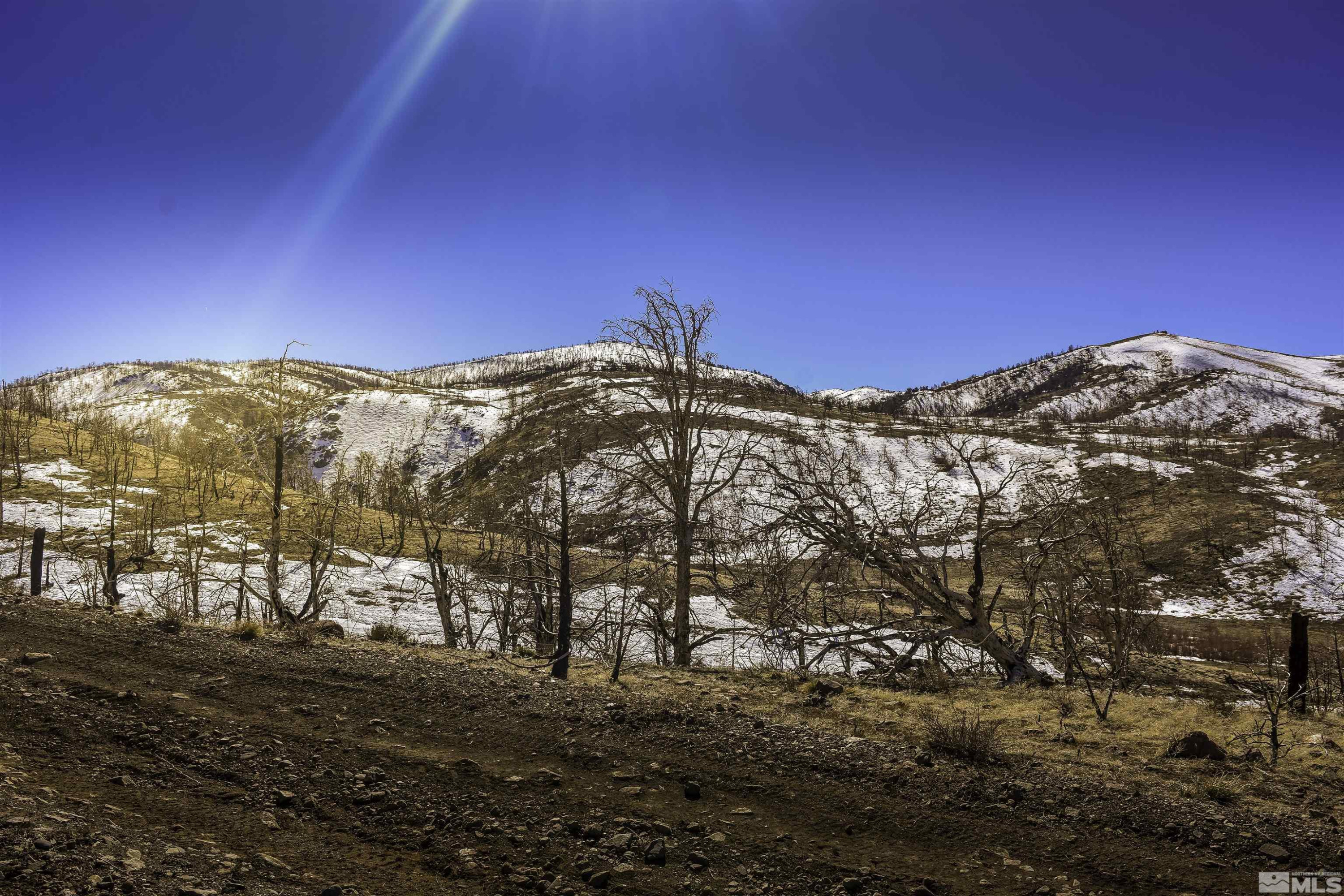 Tbd Tbd Parcels At Pine Gardnerville, NV 89410 - Photo 16 of 37 a view of mountain view with mountains