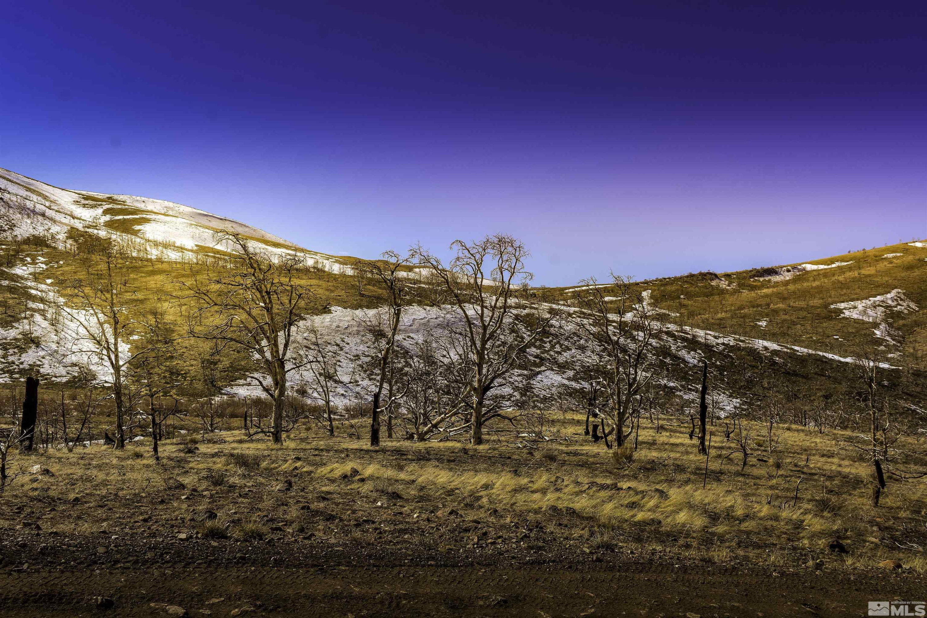Tbd Tbd Parcels At Pine Gardnerville, NV 89410 - Photo 17 of 37 a view of a city with mountains in the background