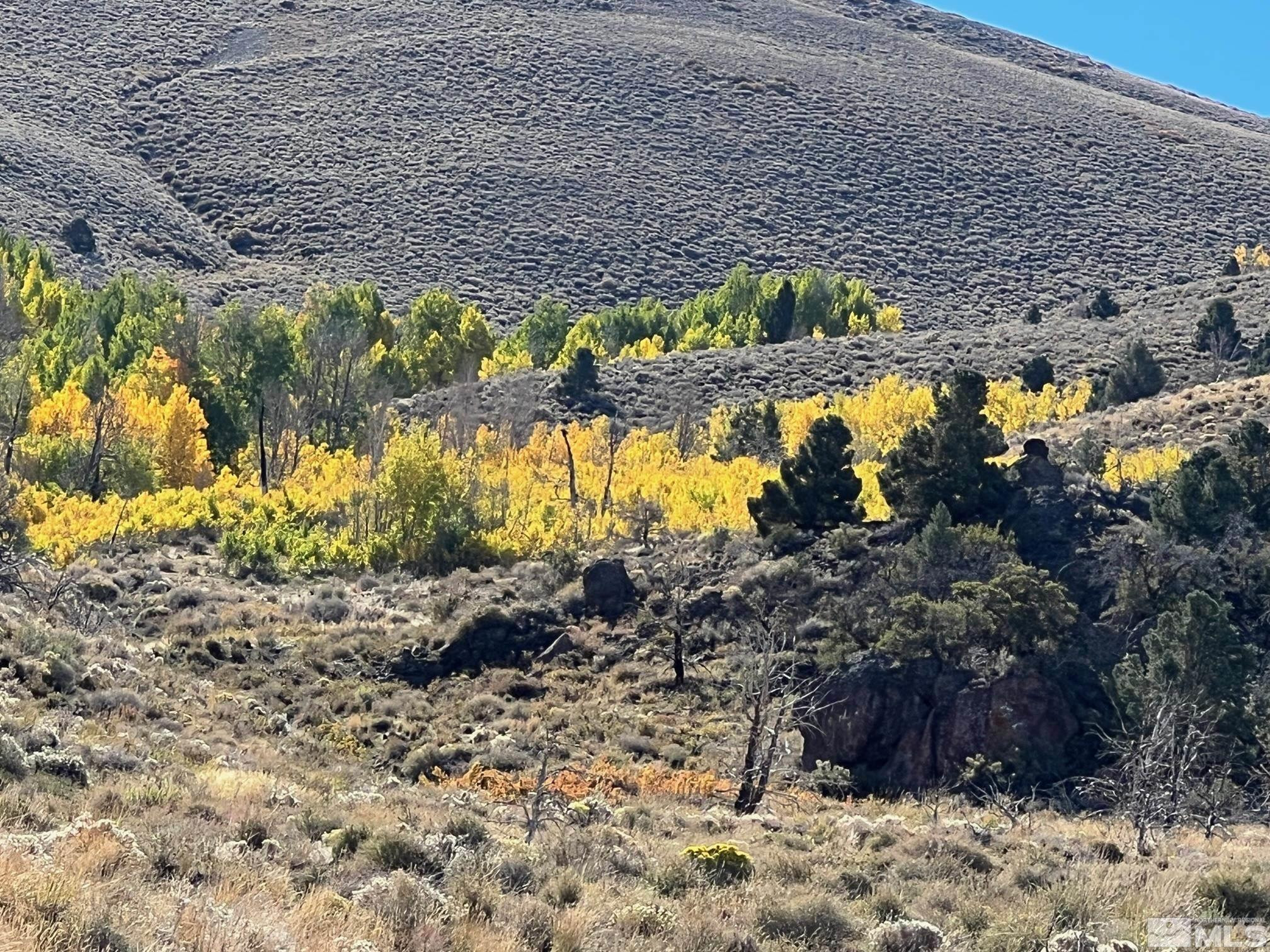 Tbd Tbd Parcels At Pine Gardnerville, NV 89410 - Photo 18 of 37 a view of a garden