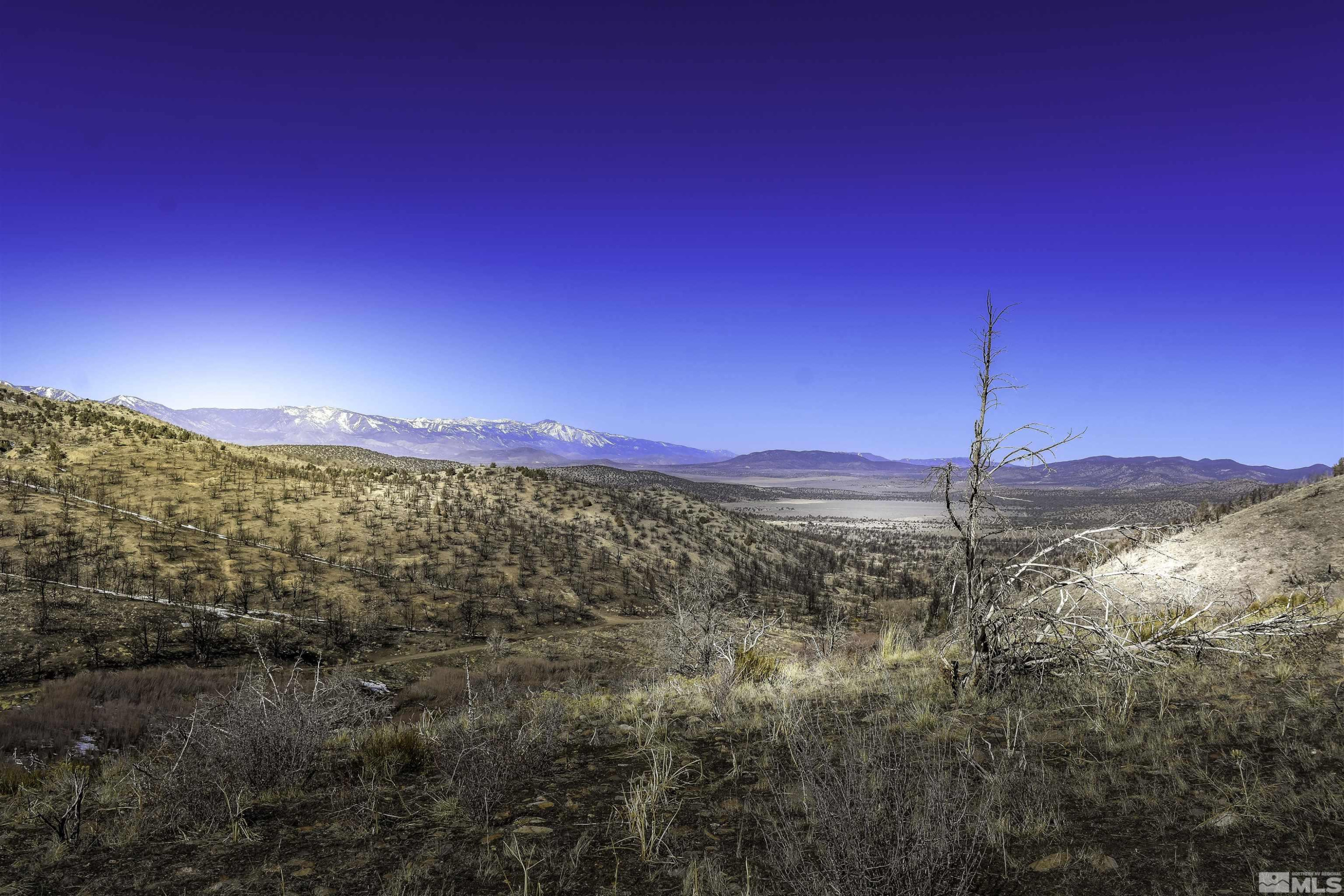 Tbd Tbd Parcels At Pine Gardnerville, NV 89410 - Photo 22 of 37 a view of a city