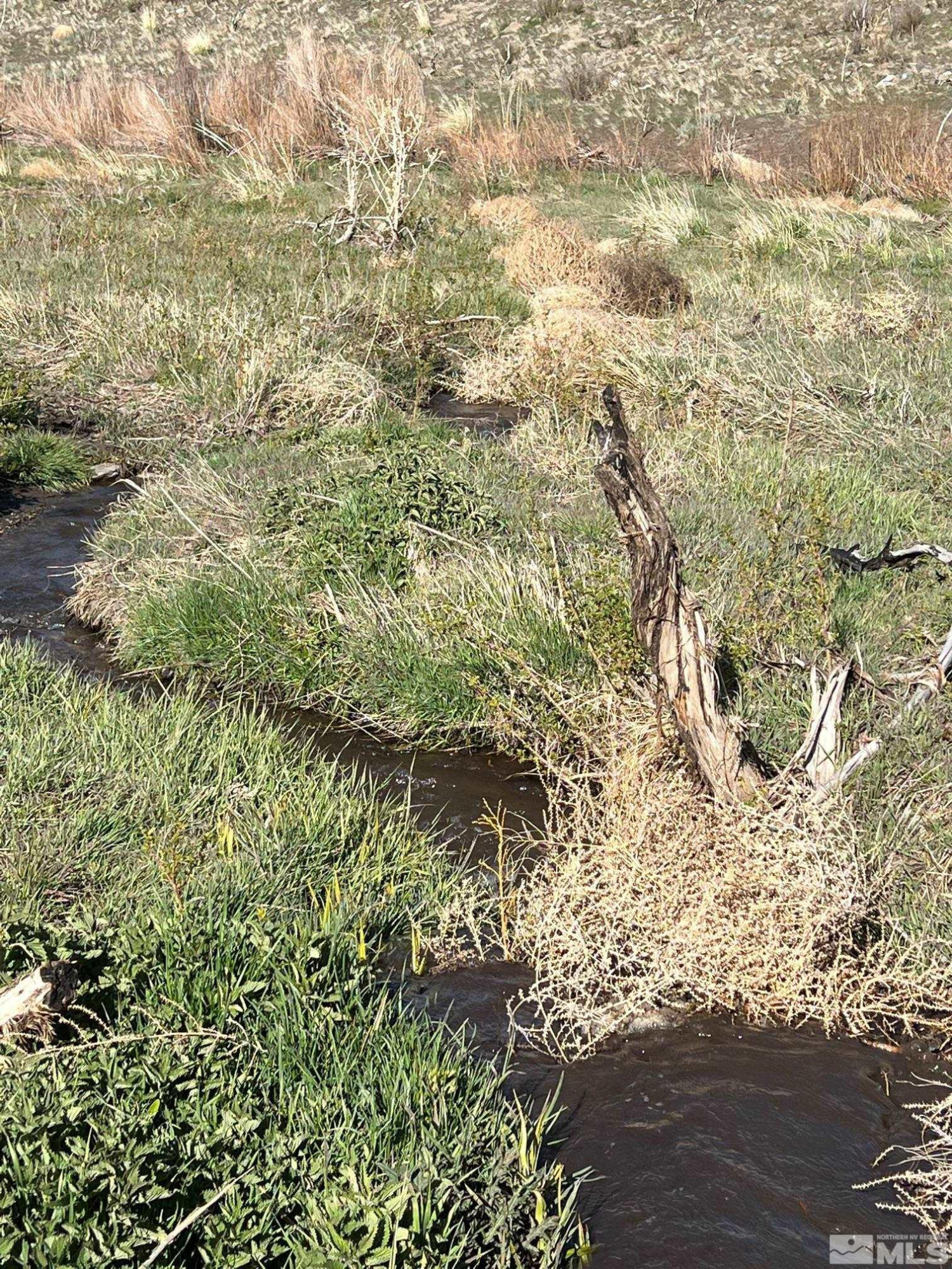 Tbd Tbd Parcels At Pine Gardnerville, NV 89410 - Photo 25 of 37 a view of a yard