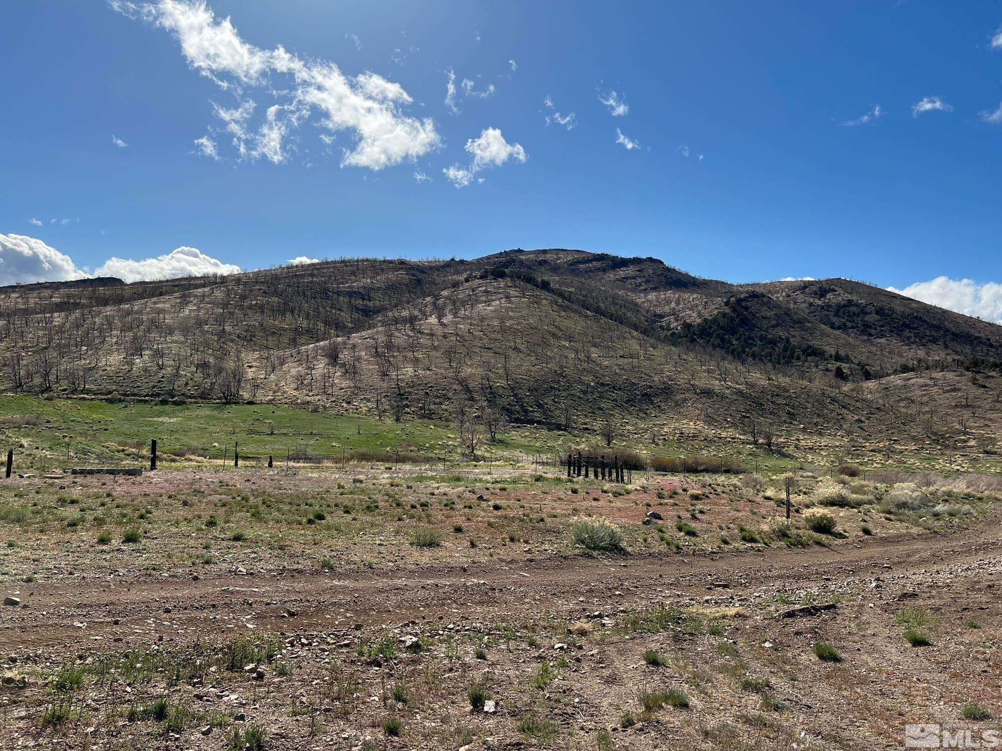 Tbd Tbd Parcels At Pine Gardnerville, NV 89410 - Photo 26 of 37 a view of a yard with a mountain