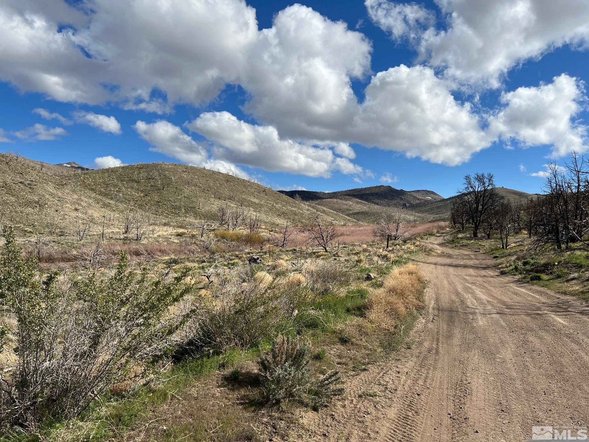 Tbd Tbd Parcels At Pine Gardnerville, NV 89410 - Photo 27 of 37 a view of a yard with mountain