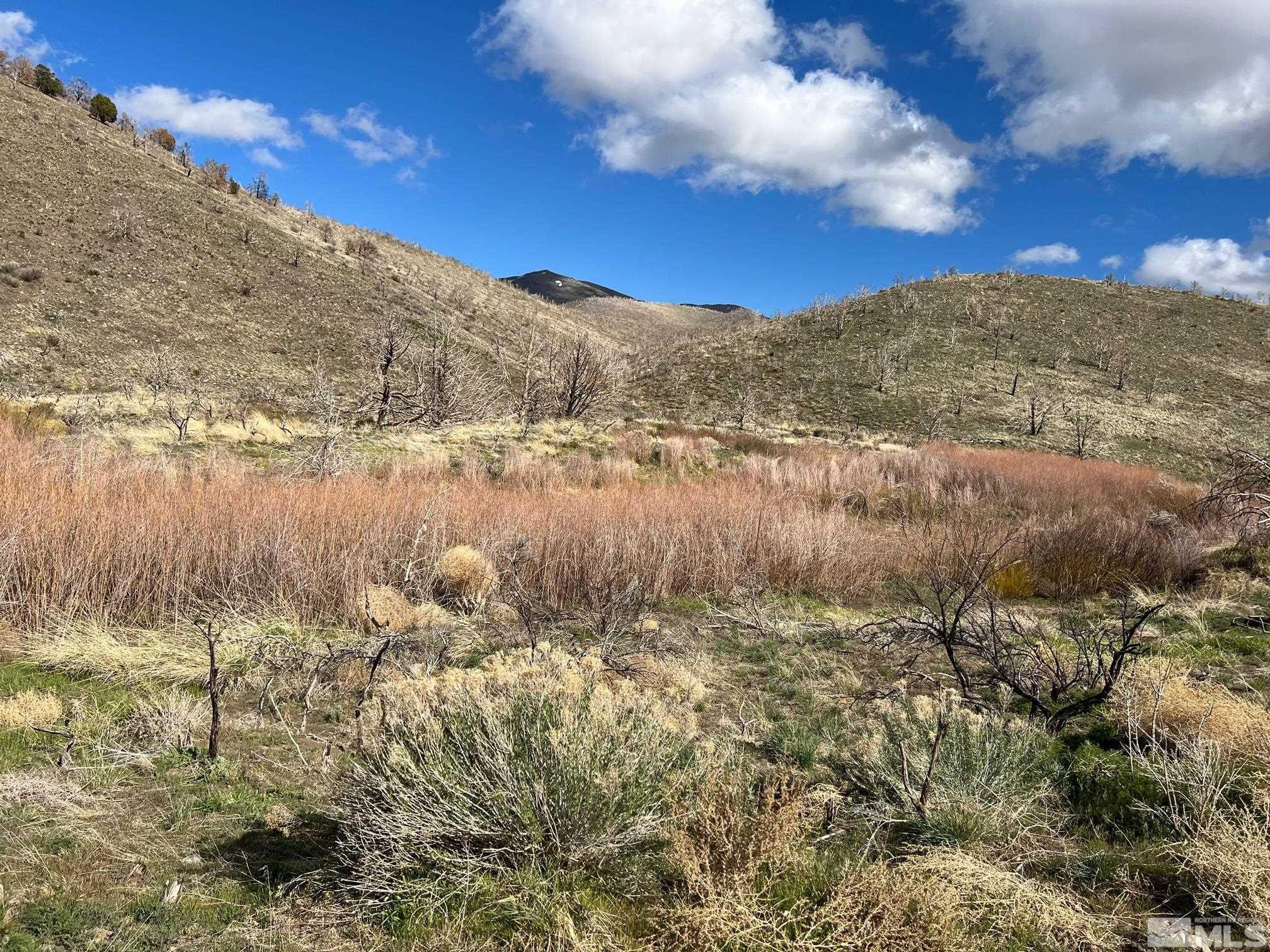 Tbd Tbd Parcels At Pine Gardnerville, NV 89410 - Photo 28 of 37