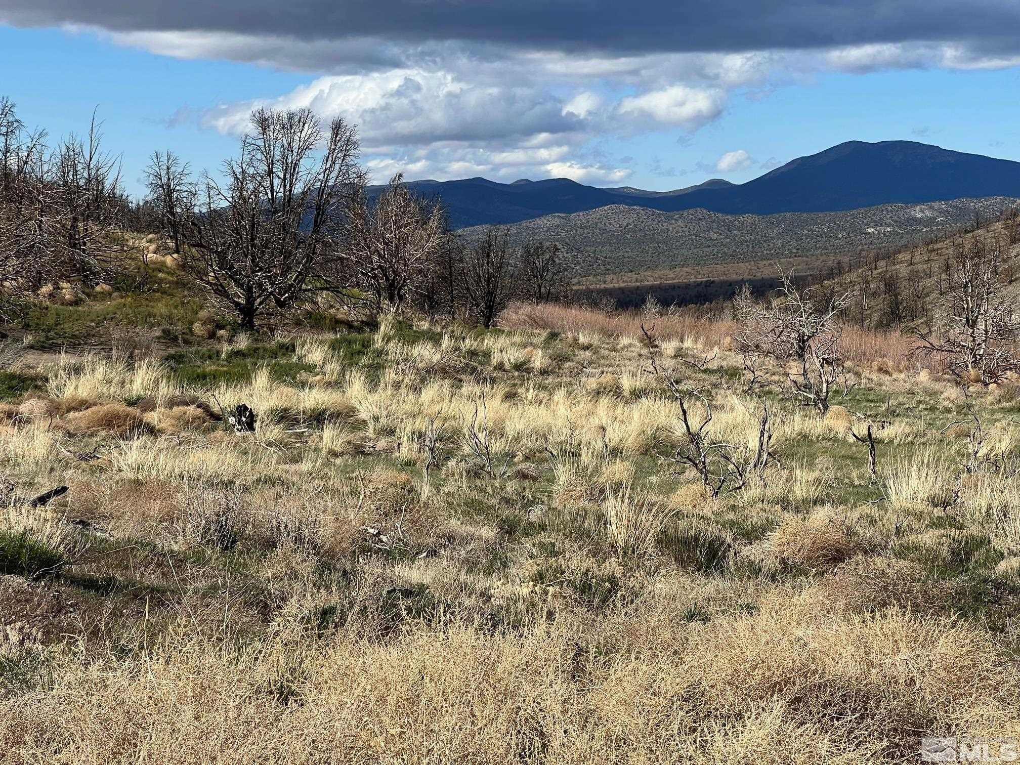 Tbd Tbd Parcels At Pine Gardnerville, NV 89410 - Photo 29 of 37 a view of a house with a yard and mountain in the background