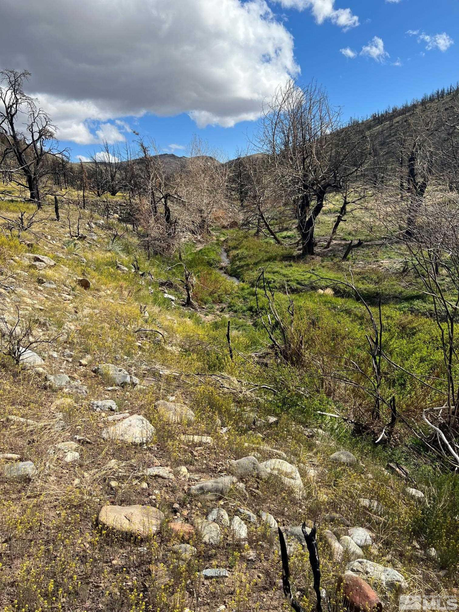 Tbd Tbd Parcels At Pine Gardnerville, NV 89410 - Photo 3 of 37 a view of mountain view with mountains in the background