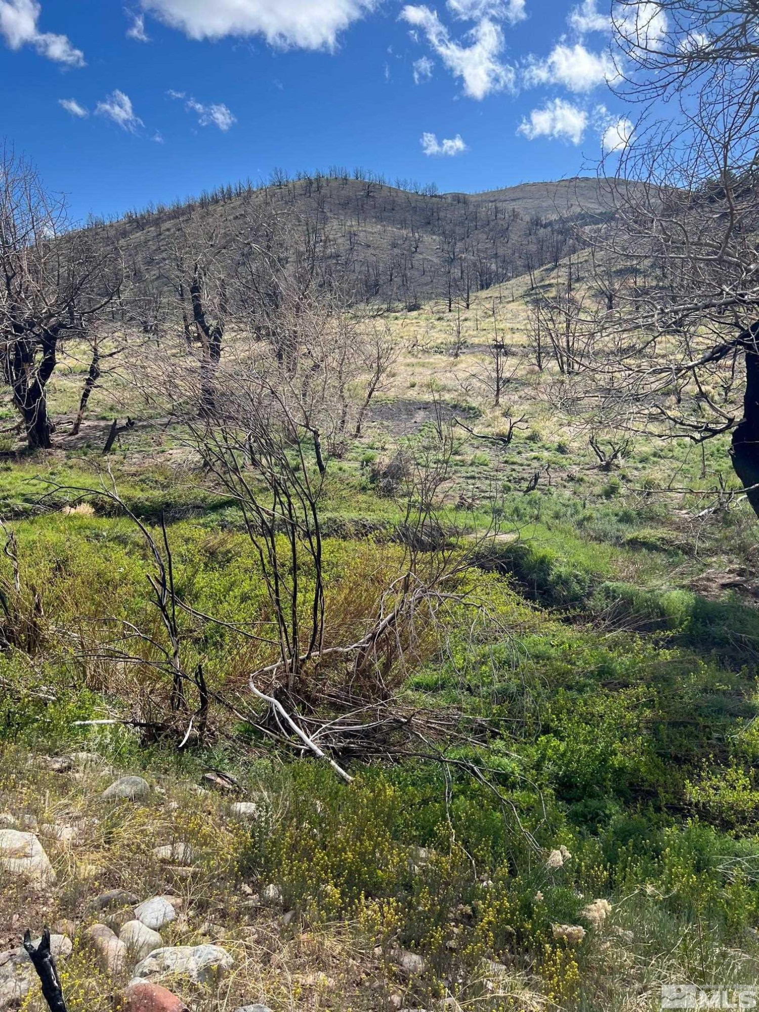 Tbd Tbd Parcels At Pine Gardnerville, NV 89410 - Photo 31 of 37 a view of a yard next to a building