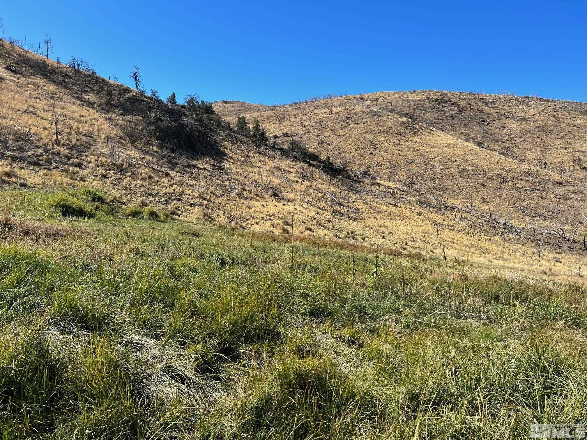 Tbd Tbd Parcels At Pine Gardnerville, NV 89410 - Photo 32 of 37 a view of mountains and mountain