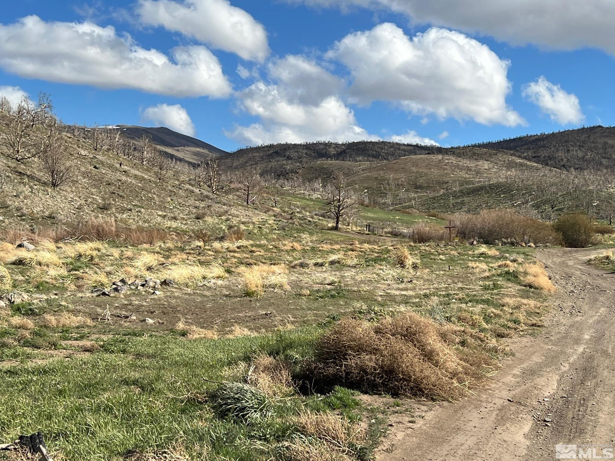 Tbd Tbd Parcels At Pine Gardnerville, NV 89410 - Photo 4 of 37 a view of lake and mountain