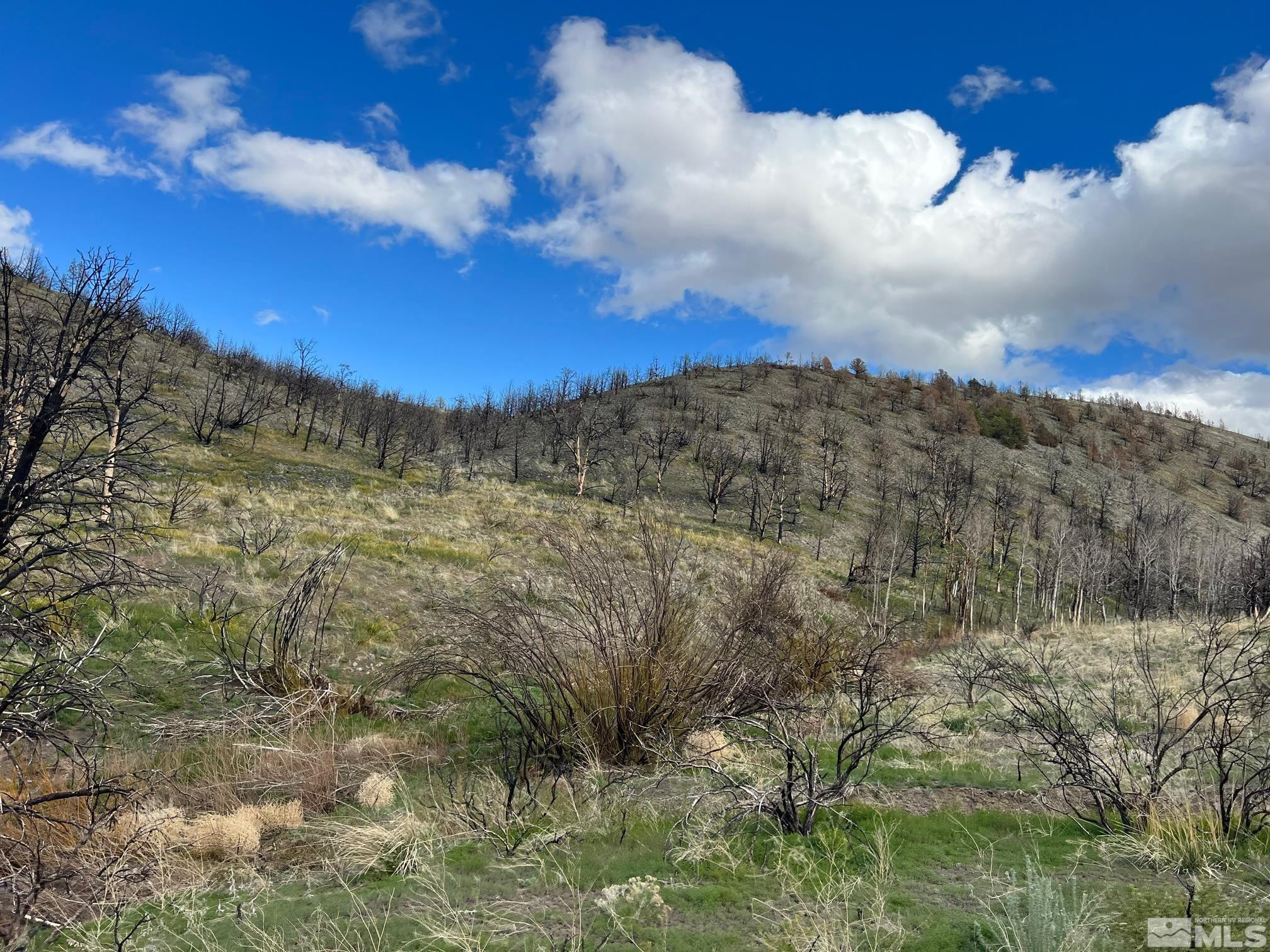 Tbd Tbd Parcels At Pine Gardnerville, NV 89410 - Photo 5 of 37 a view of a building