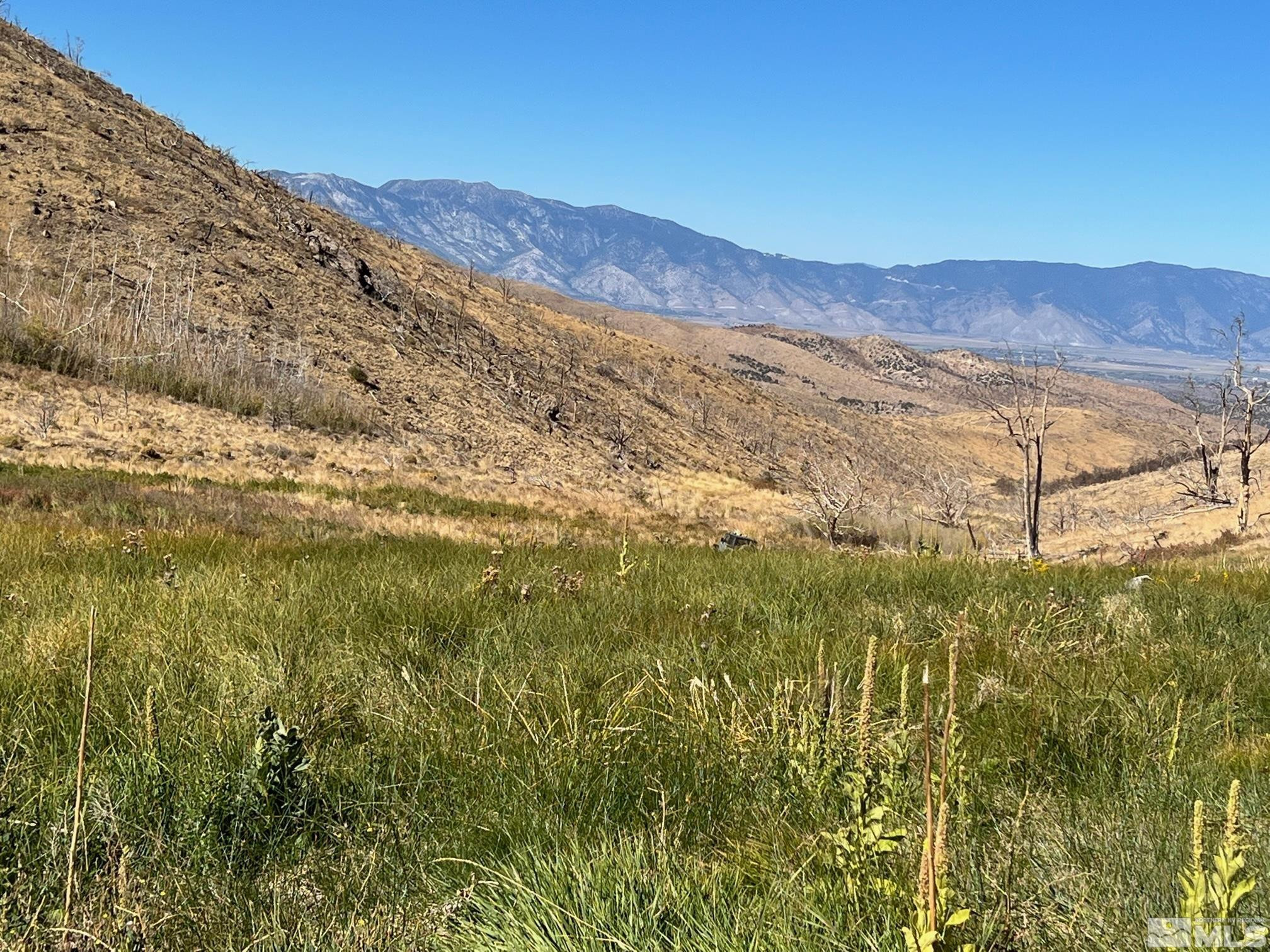 Tbd Tbd Parcels At Pine Gardnerville, NV 89410 - Photo 6 of 37 a view of mountains and valleys