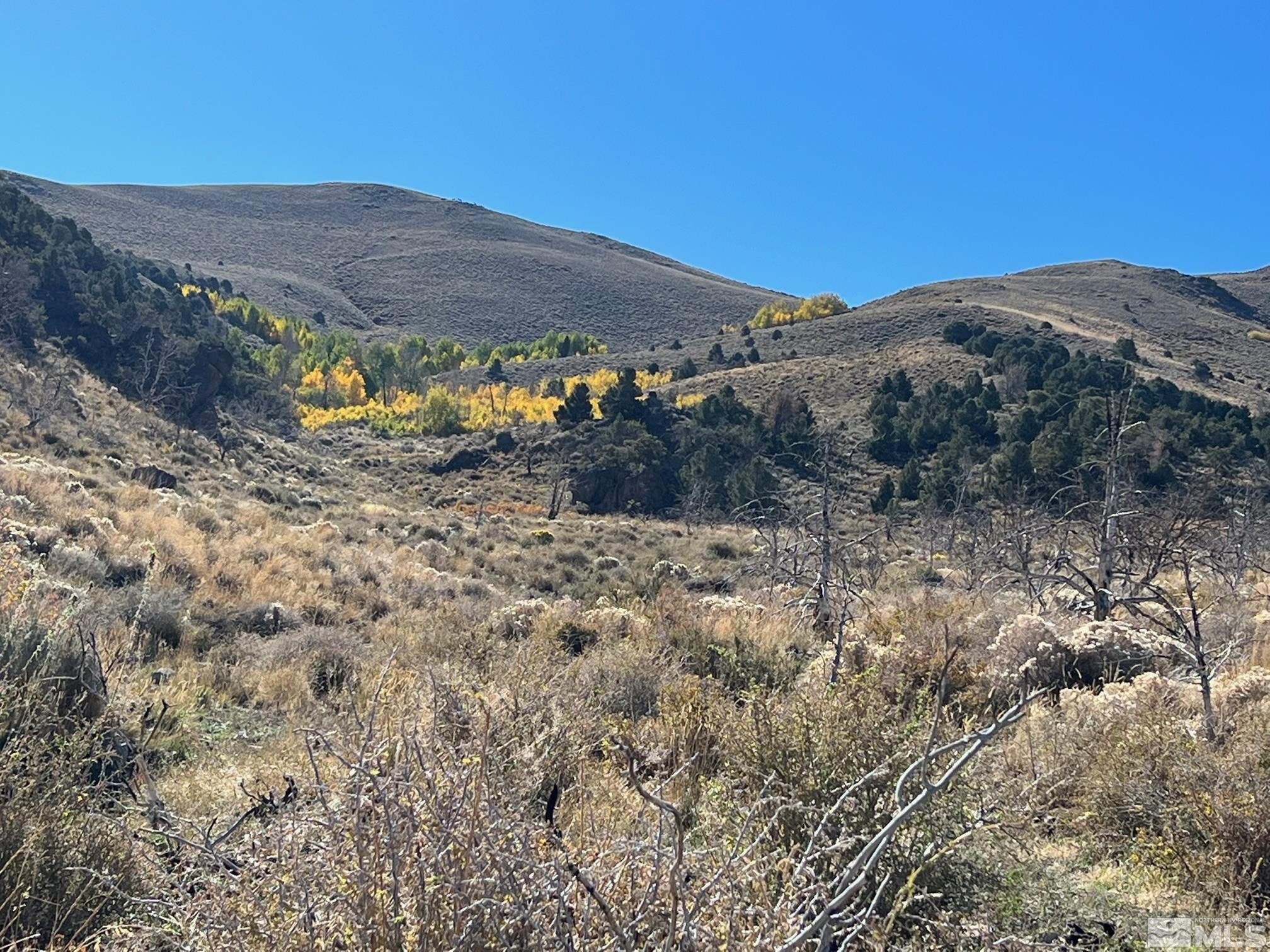 Tbd Tbd Parcels At Pine Gardnerville, NV 89410 - Photo 7 of 37 a view of a dry yard with mountains in the background