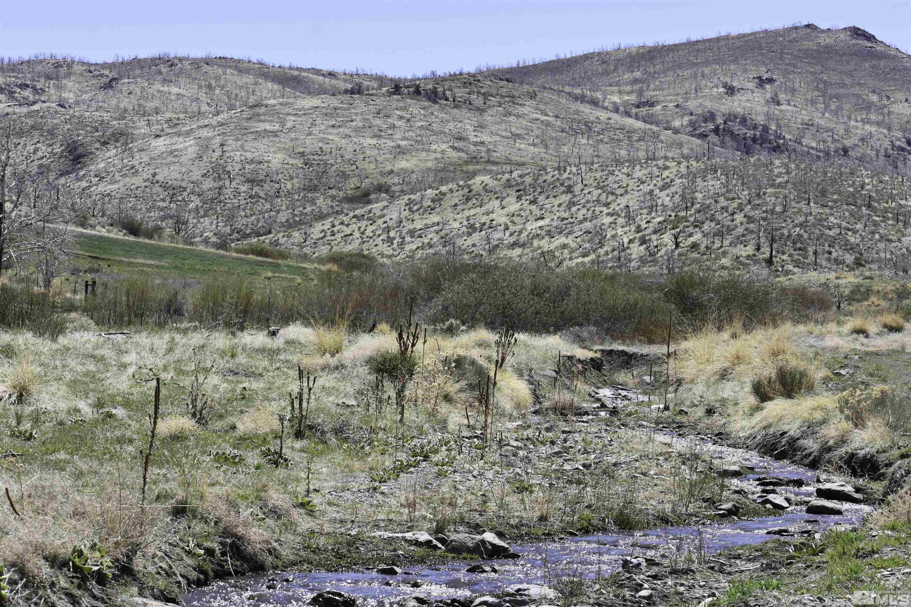 Tbd Tbd Parcels At Pine Gardnerville, NV 89410 - Photo 8 of 37 a view of a lake with a mountain in the background