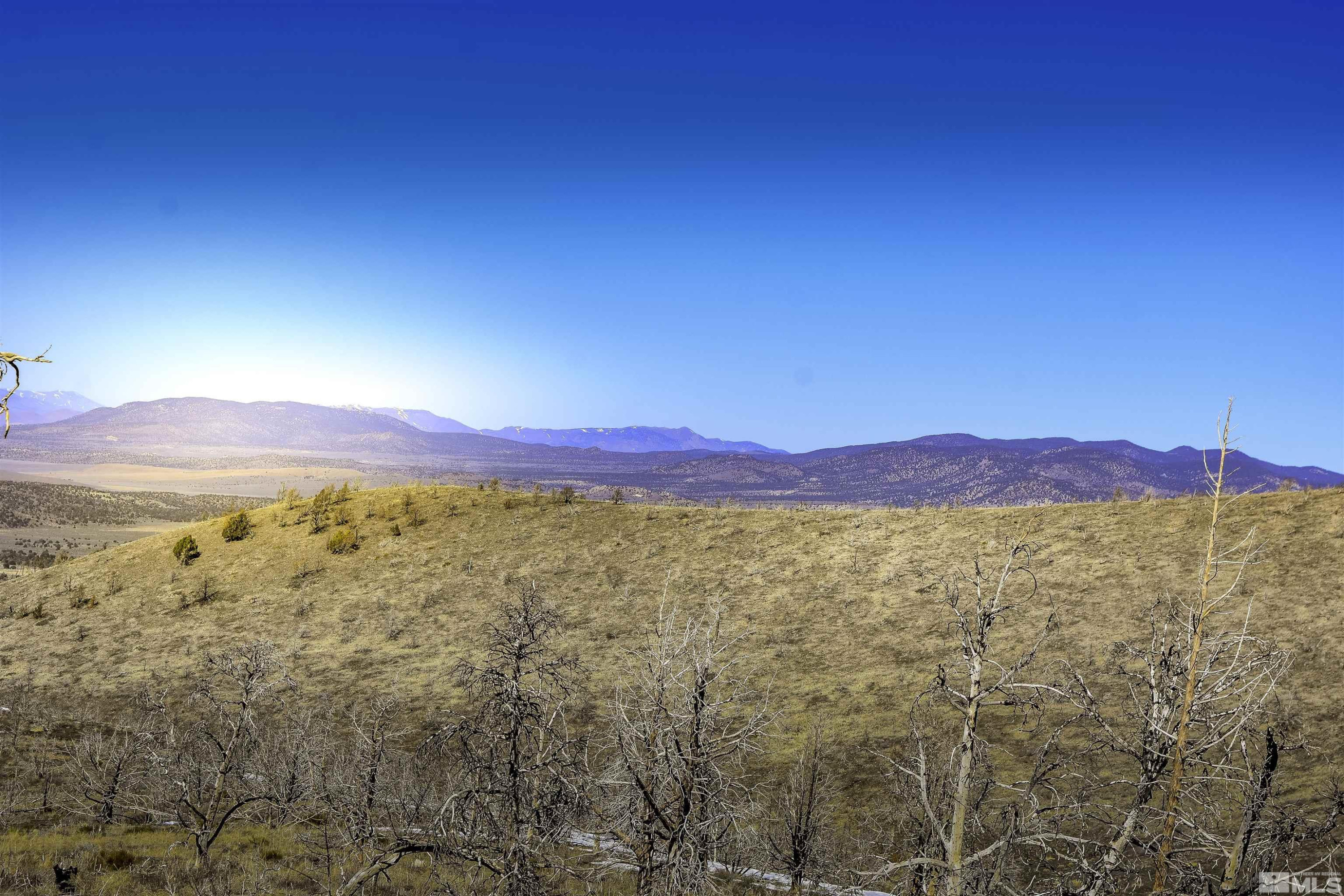Tbd Tbd Parcels At Pine Gardnerville, NV 89410 - Photo 9 of 37 a view of an mountain
